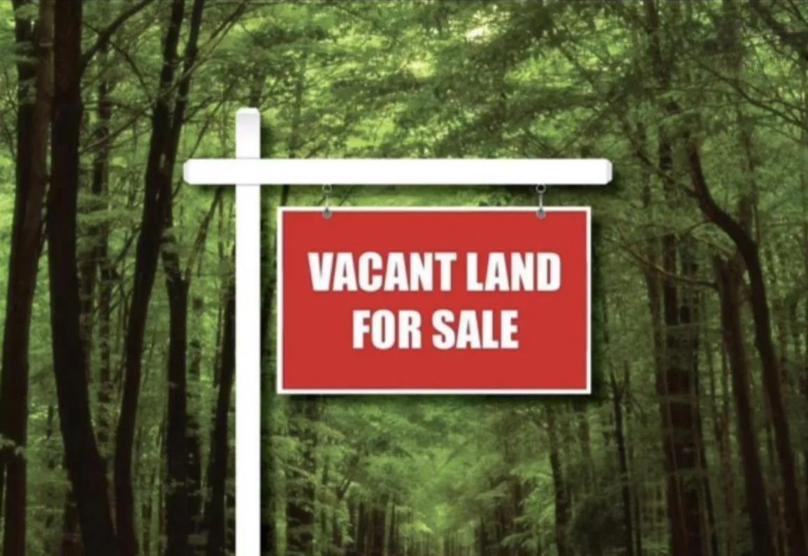 No 7 Highway 7, Moser River Ns B0j 2k0, ,Land,For Sale,Highway 7,202405320