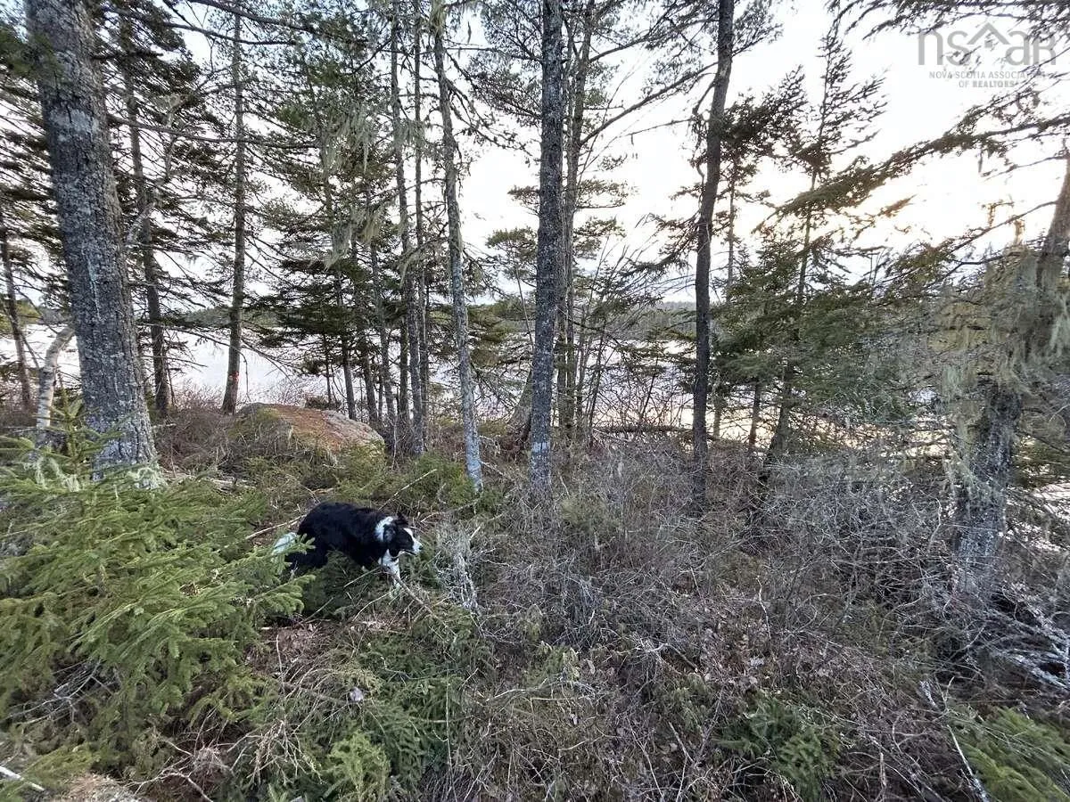 11 Lakeside Drive, Lake Paul, NS B0P 1C0, ,Land,For Sale,Lakeside,202518085