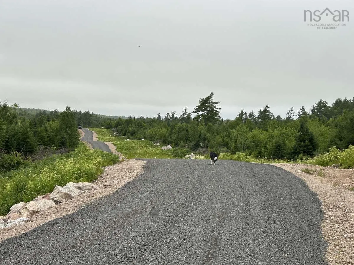 11 Lakeside Drive, Lake Paul, NS B0P 1C0, ,Land,For Sale,Lakeside,202518085