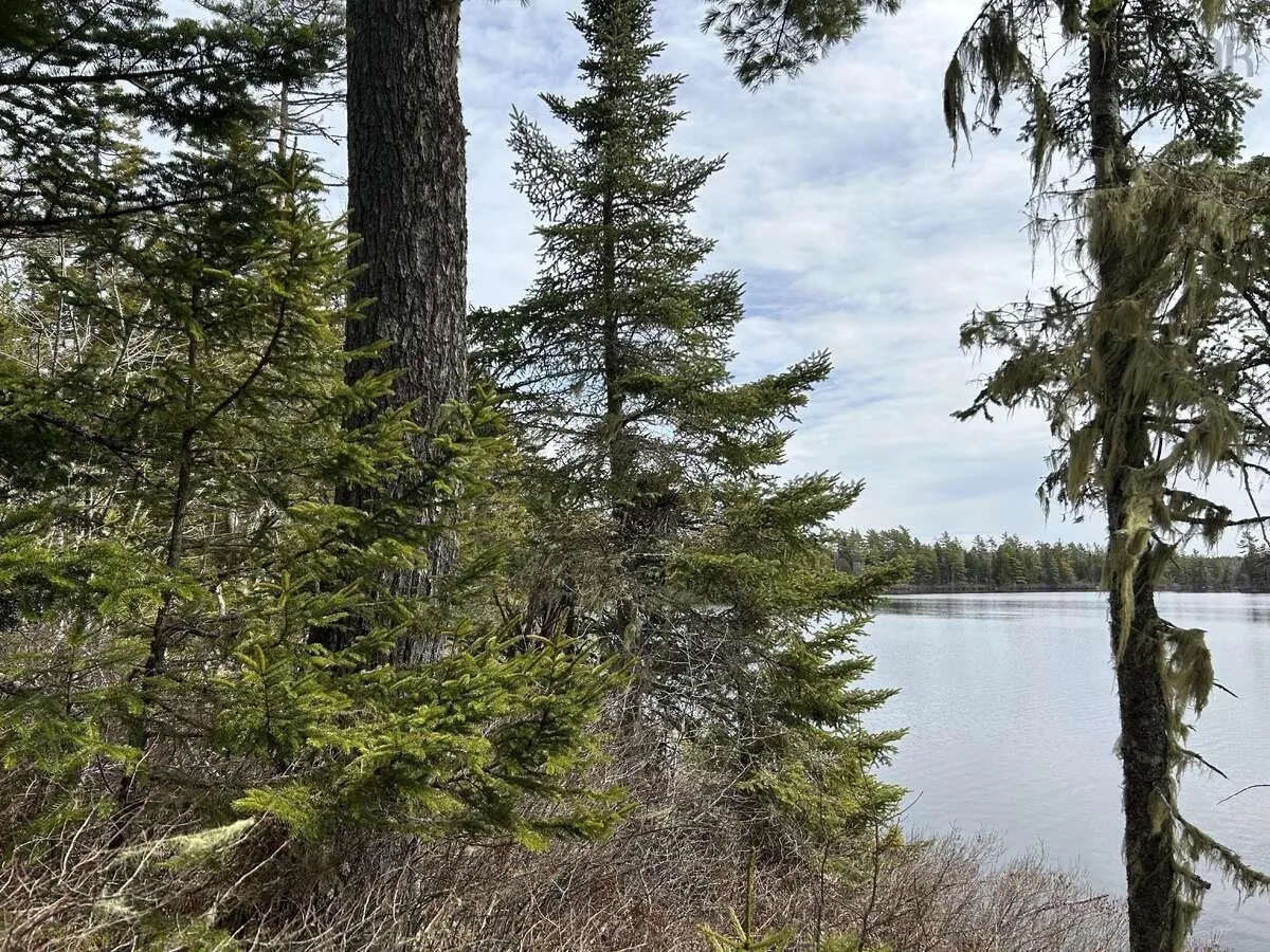 11 Lakeside Drive, Lake Paul, NS B0P 1C0, ,Land,For Sale,Lakeside,202518085