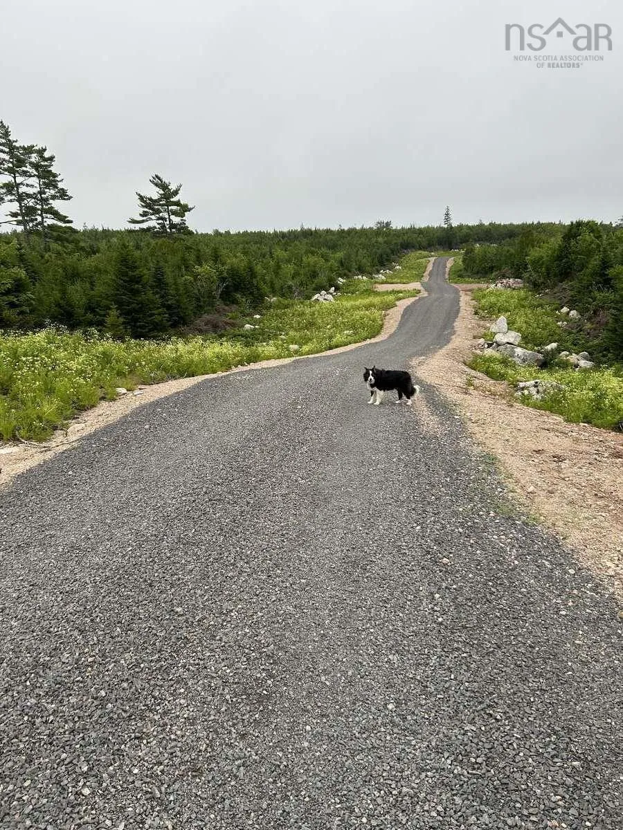 11 Lakeside Drive, Lake Paul, NS B0P 1C0, ,Land,For Sale,Lakeside,202518085