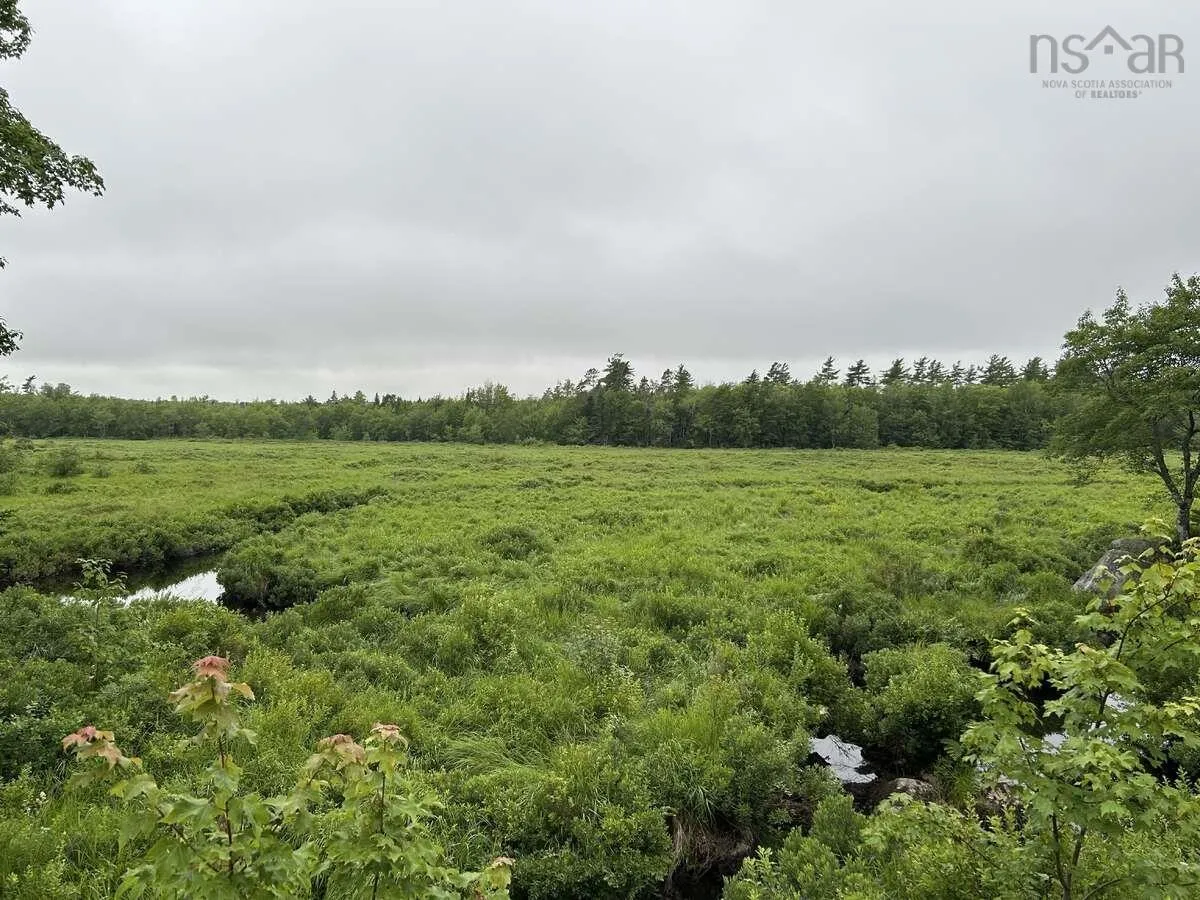 11 Lakeside Drive, Lake Paul, NS B0P 1C0, ,Land,For Sale,Lakeside,202518085