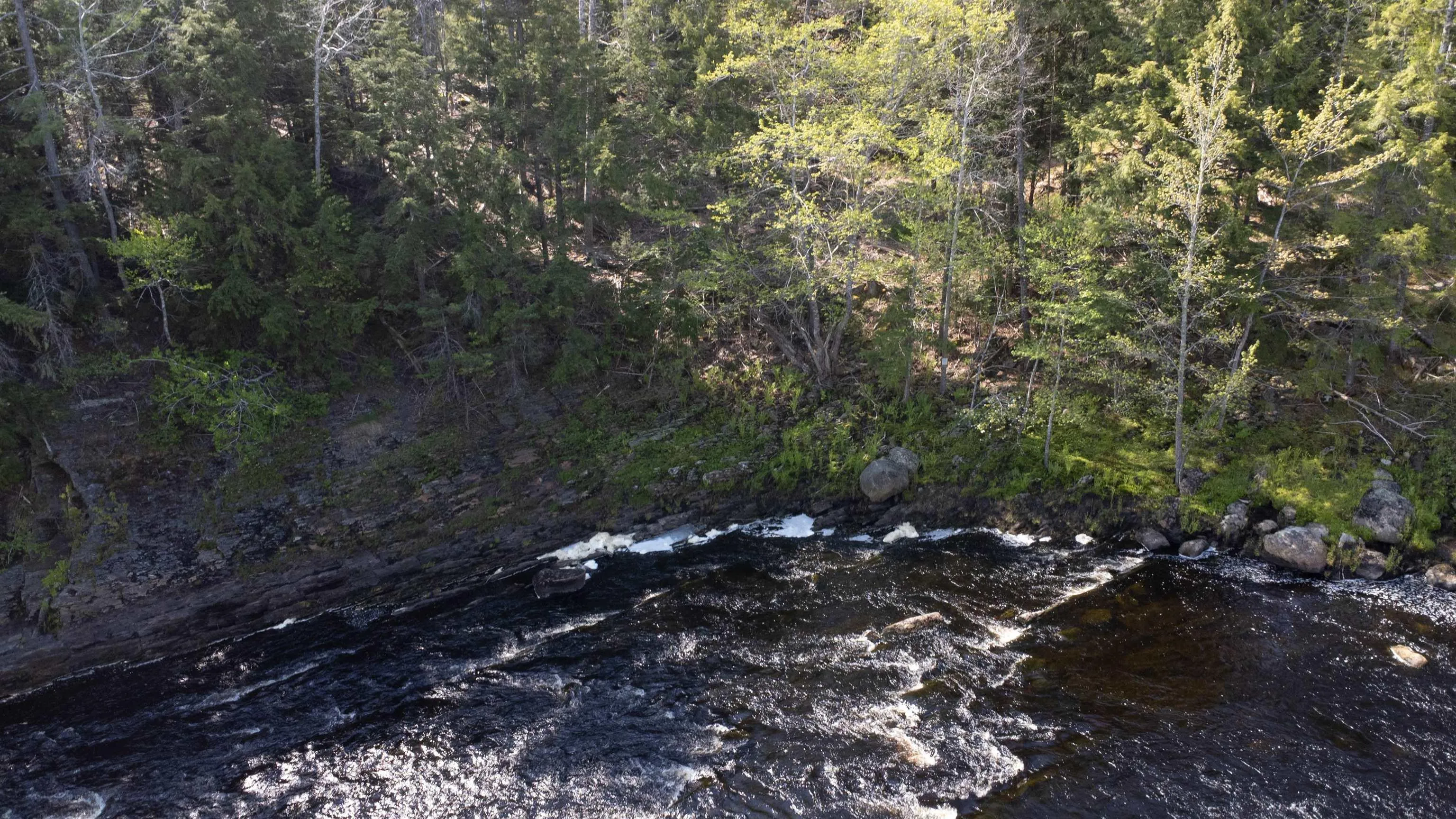 Lot 1 Osborne Road, New Germany Ns B0r 1e0, ,Land,For Sale,Osborne,202510467