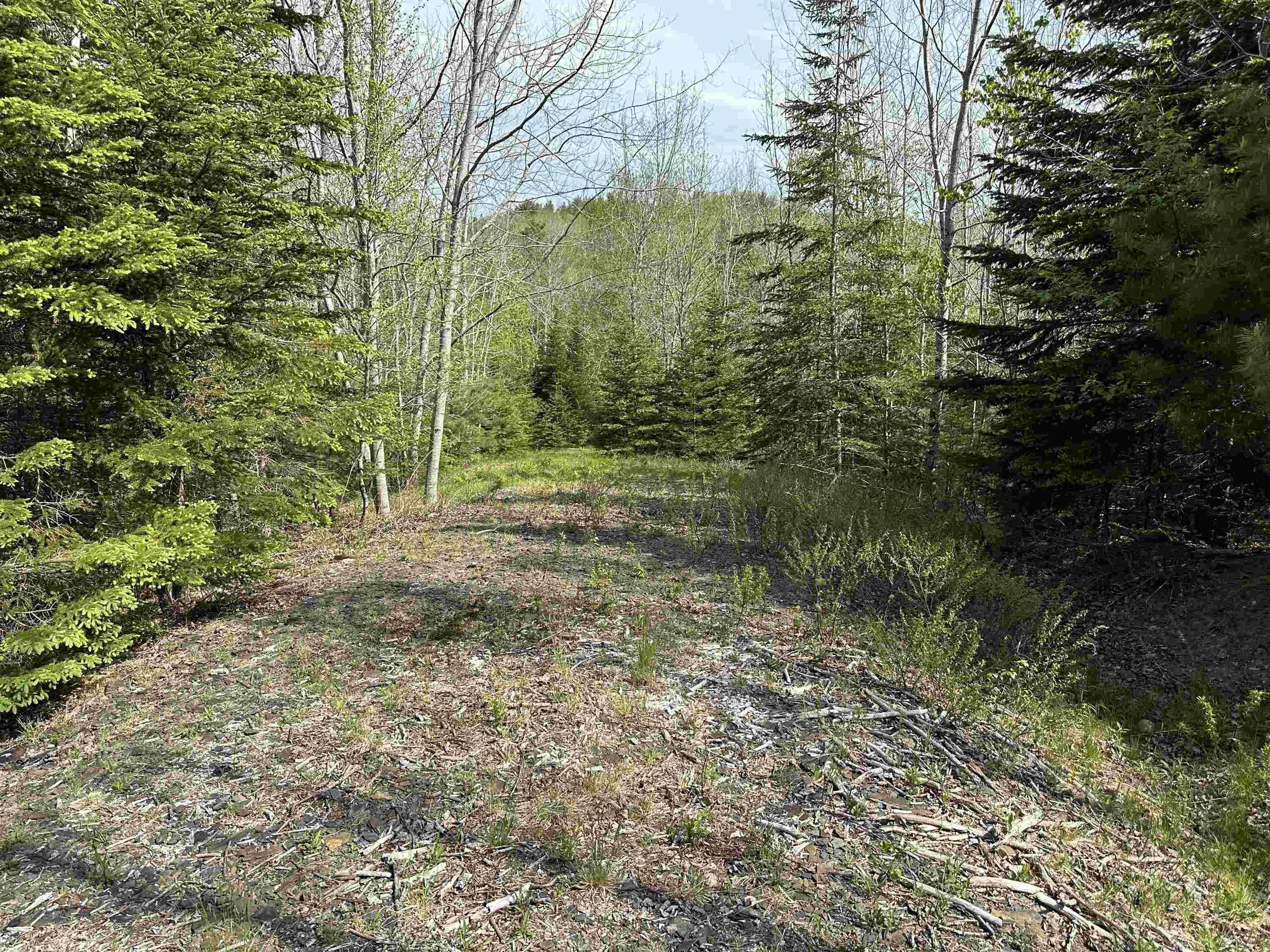 Lot 1 Osborne Road, New Germany Ns B0r 1e0, ,Land,For Sale,Osborne,202510467