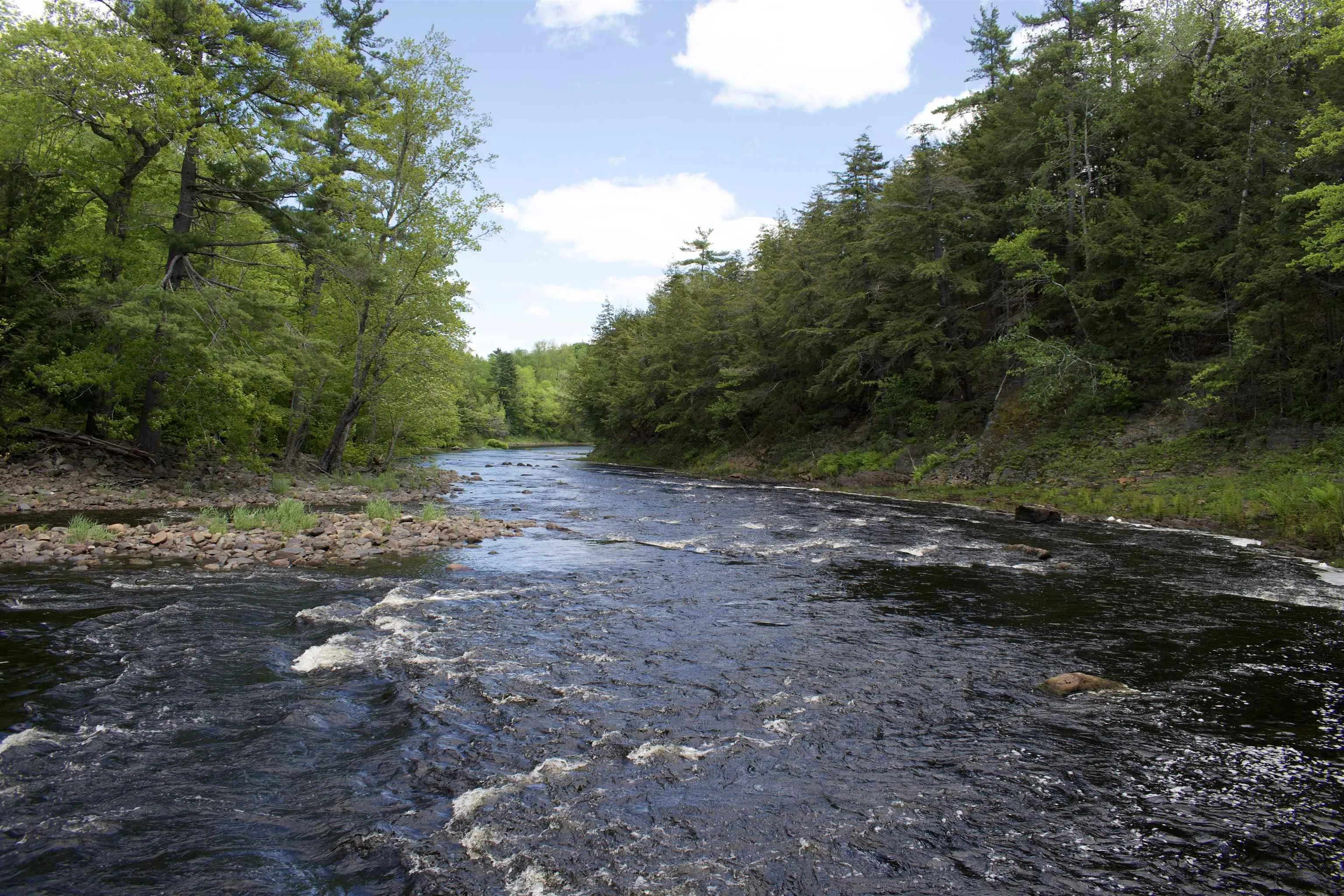 Lot 1 Osborne Road, New Germany Ns B0r 1e0, ,Land,For Sale,Osborne,202510467