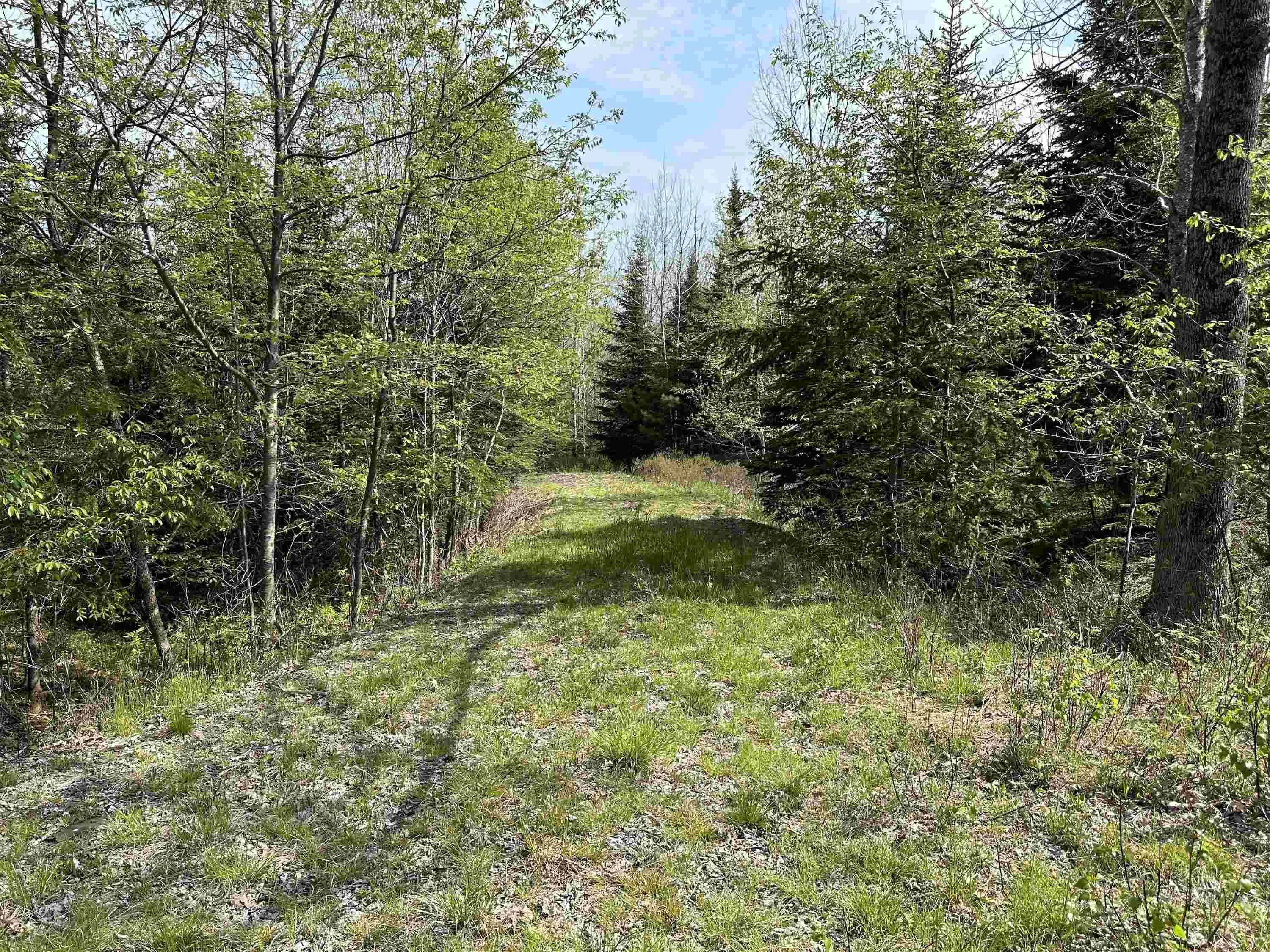 Lot 1 Osborne Road, New Germany Ns B0r 1e0, ,Land,For Sale,Osborne,202510467