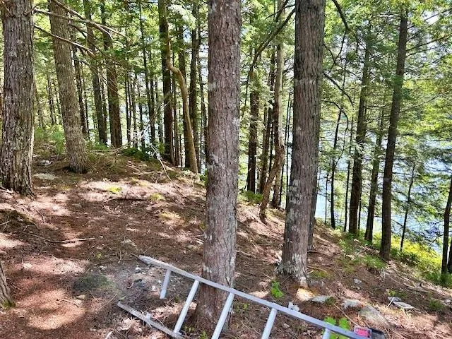 1235 Woodstock Road, Clearland, NS B0J 2E0, 2 Bedrooms Bedrooms, ,1 BathroomBathrooms,Residential,For Sale,Woodstock,202521413