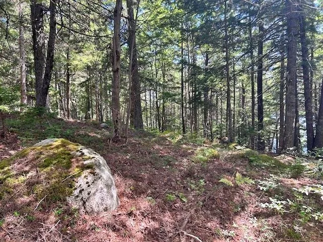 1235 Woodstock Road, Clearland, NS B0J 2E0, 2 Bedrooms Bedrooms, ,1 BathroomBathrooms,Residential,For Sale,Woodstock,202521413