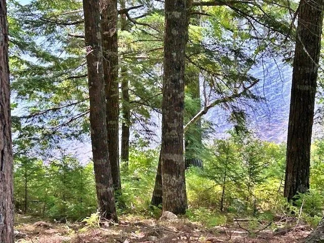 1235 Woodstock Road, Clearland, NS B0J 2E0, 2 Bedrooms Bedrooms, ,1 BathroomBathrooms,Residential,For Sale,Woodstock,202521413