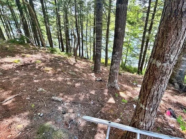 1235 Woodstock Road, Clearland, NS B0J 2E0, 2 Bedrooms Bedrooms, ,1 BathroomBathrooms,Residential,For Sale,Woodstock,202521413