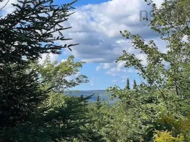 Maclean, Hunters Mountain, NS B0E 1B0, ,Land,For Sale,Maclean,202517671