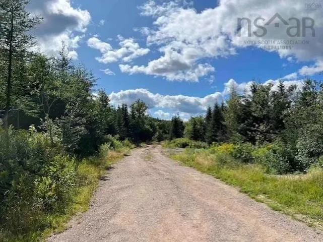 Maclean, Hunters Mountain, NS B0E 1B0, ,Land,For Sale,Maclean,202517671