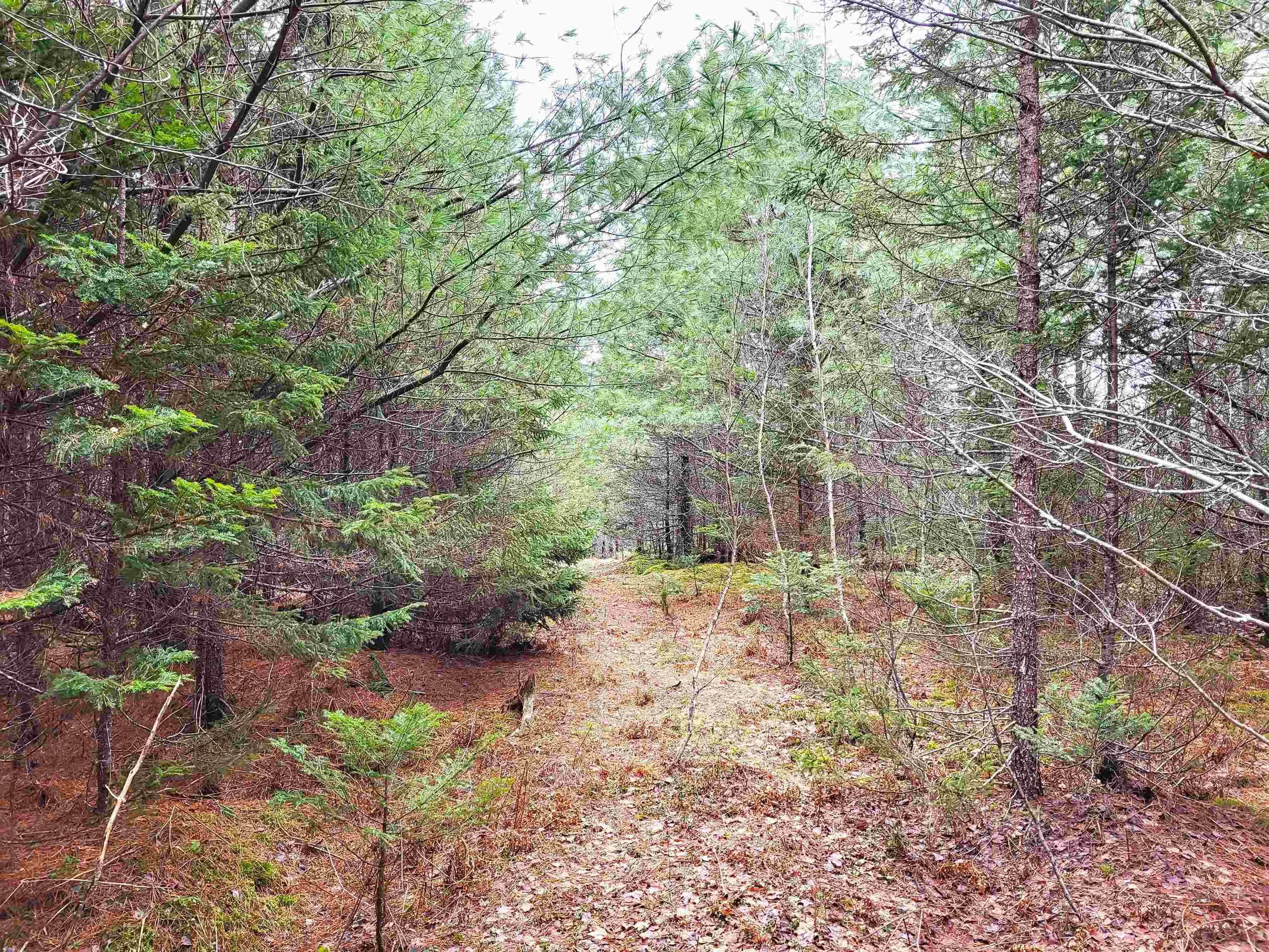 Silver Road, Nineveh Ns B0r 1e0, ,Land,For Sale,Silver,202402328