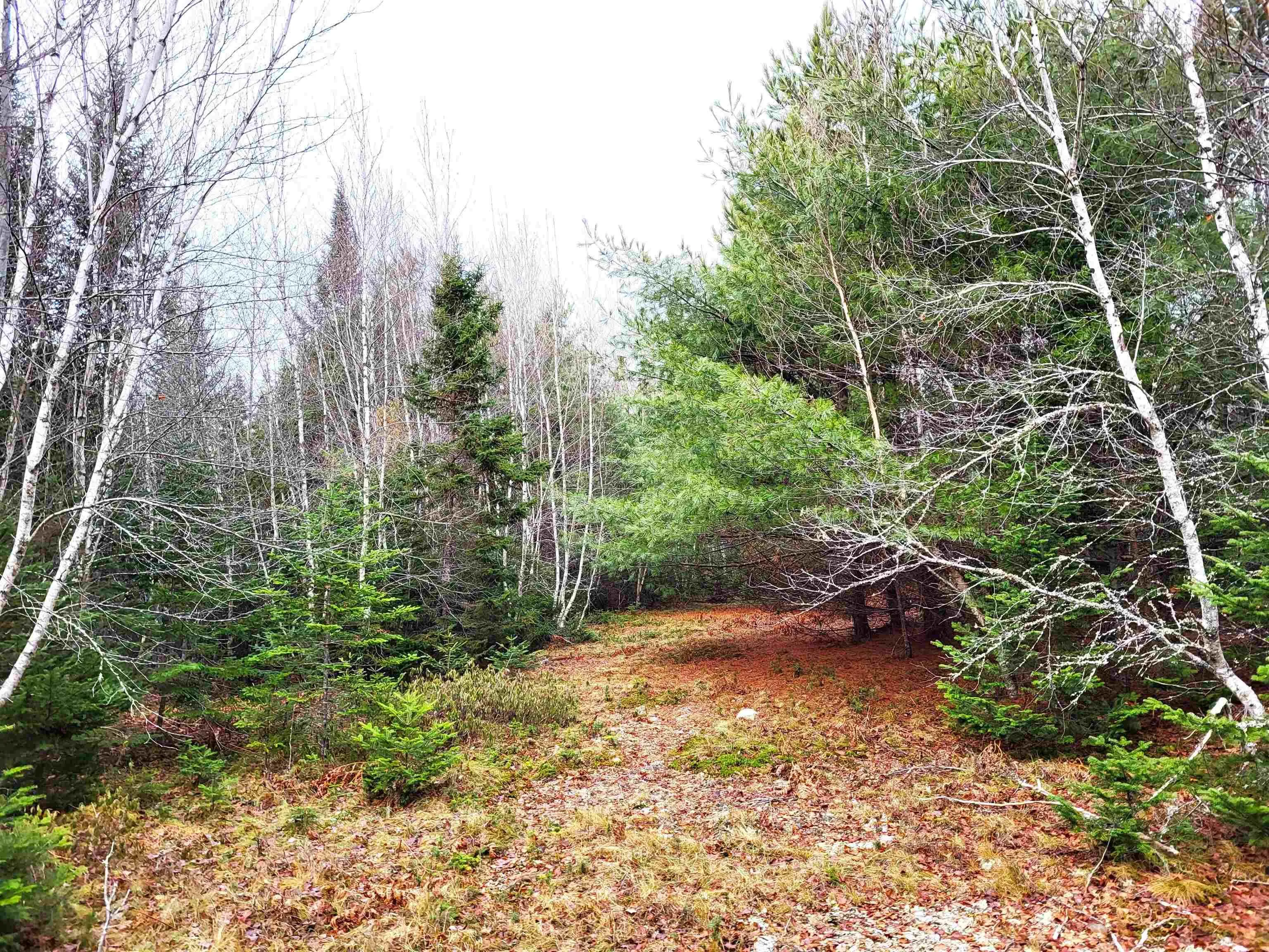 Silver Road, Nineveh Ns B0r 1e0, ,Land,For Sale,Silver,202402328