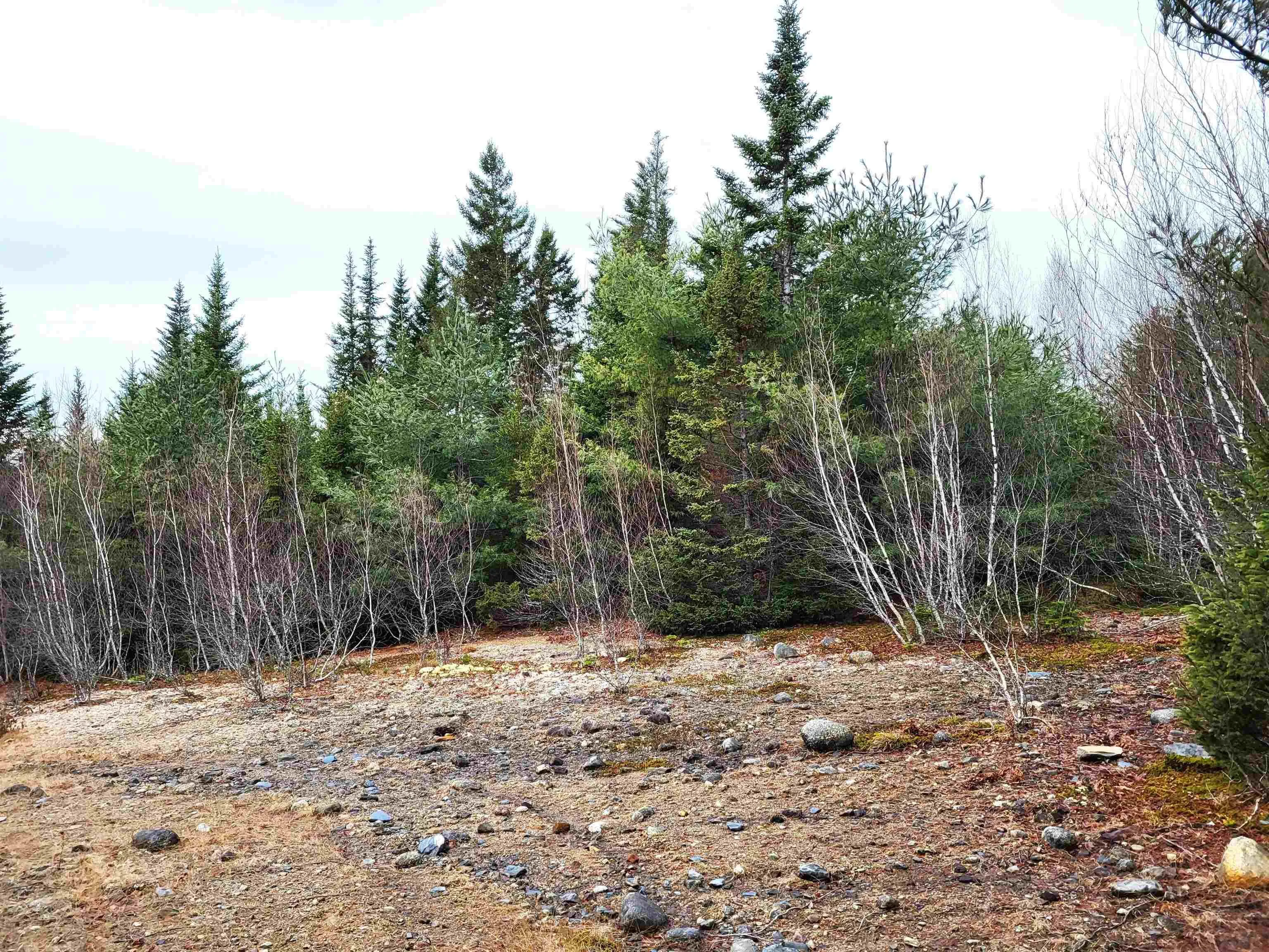 Silver Road, Nineveh Ns B0r 1e0, ,Land,For Sale,Silver,202402328