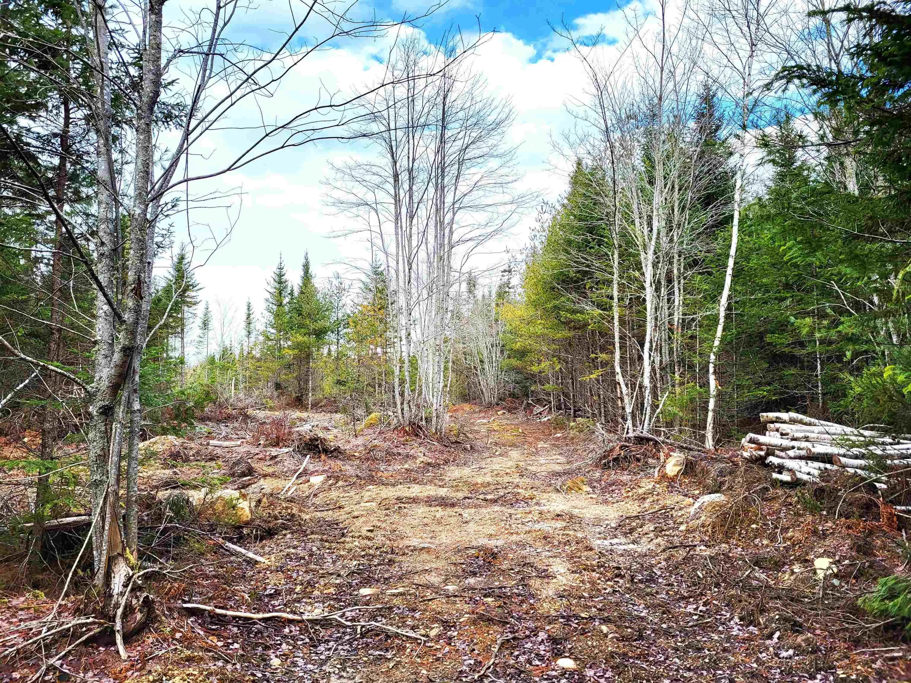 Silver Road, Nineveh Ns B0r 1e0, ,Land,For Sale,Silver,202402328