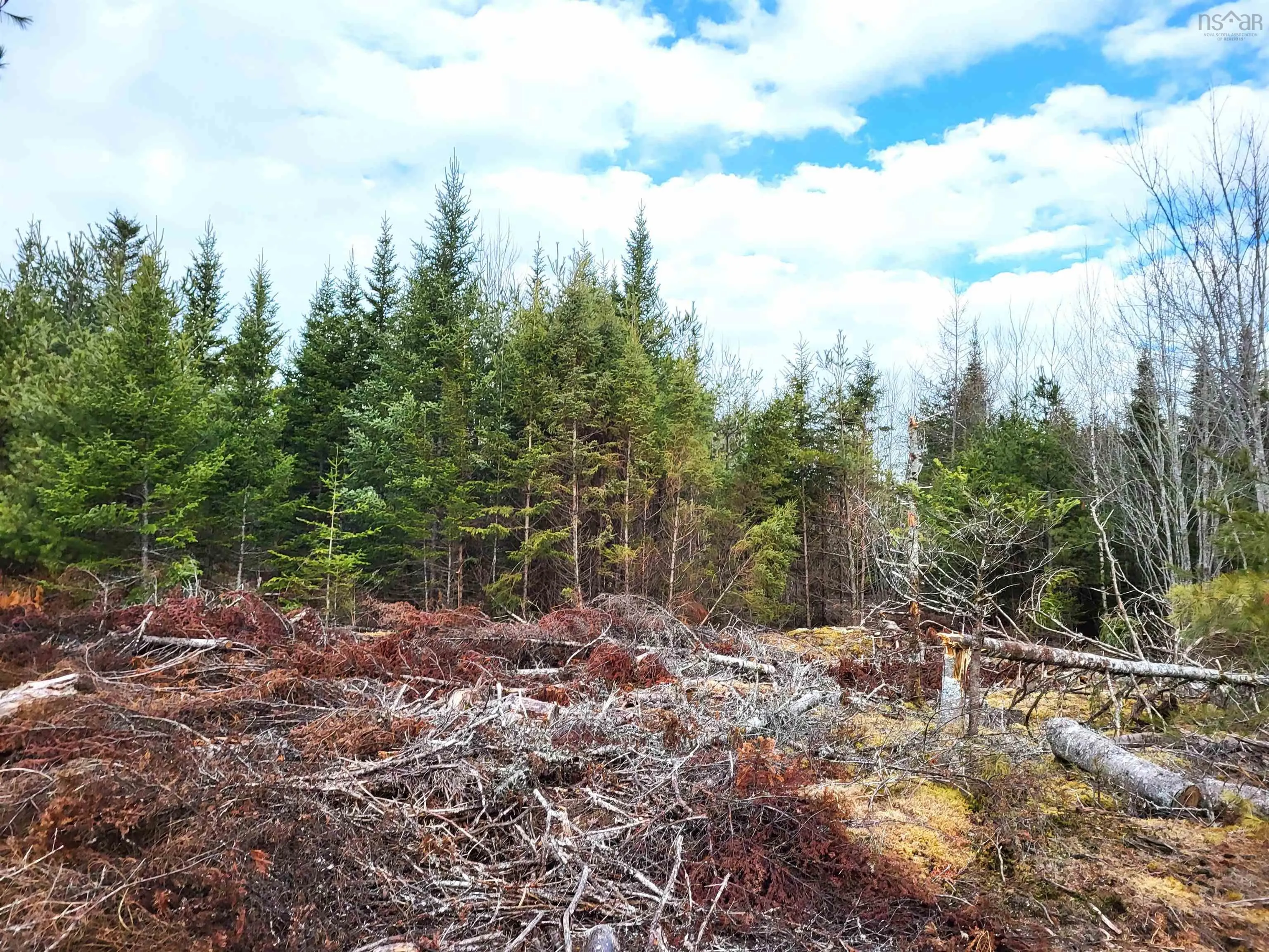 Silver Road, Nineveh Ns B0r 1e0, ,Land,For Sale,Silver,202402328