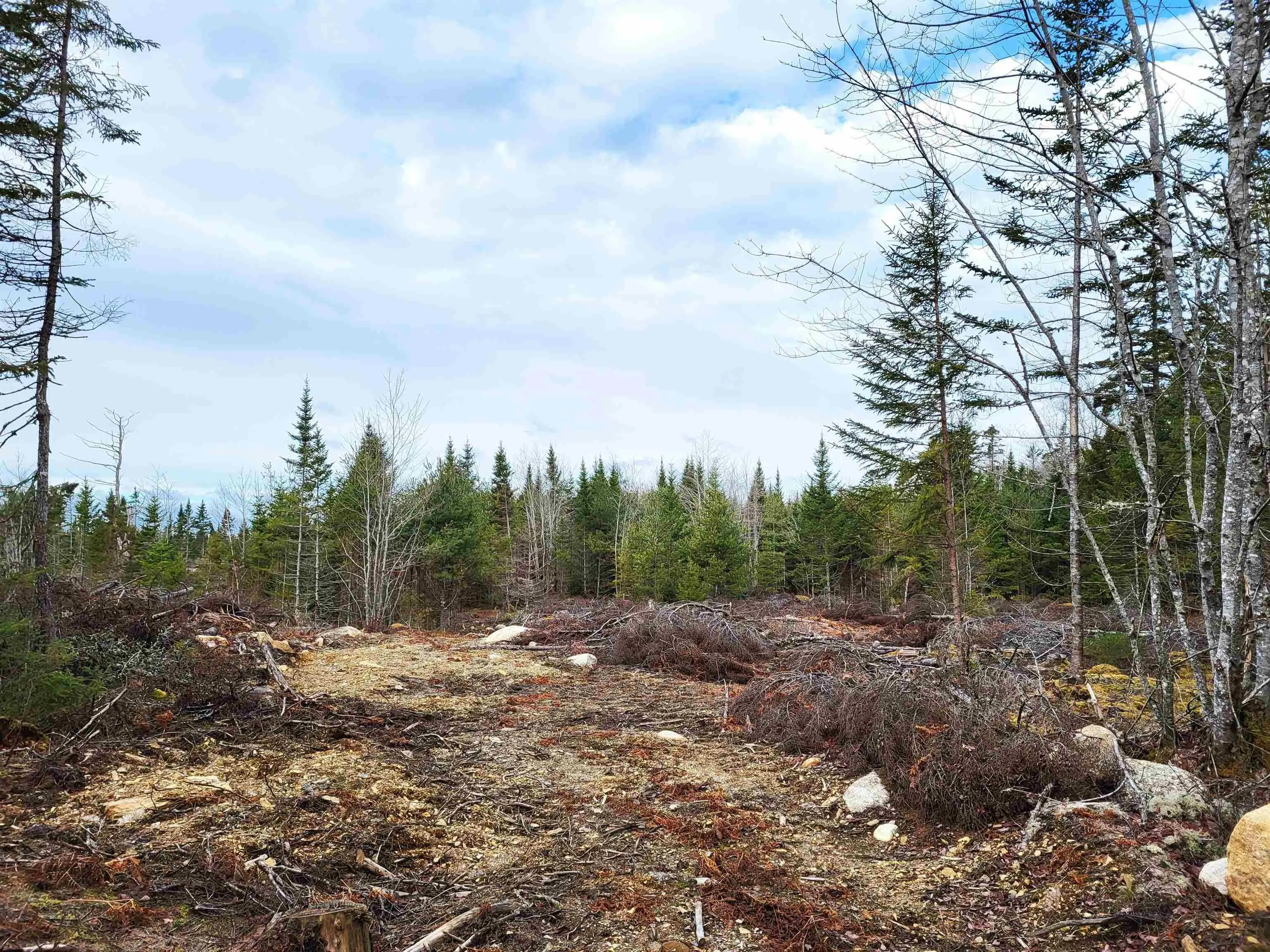 Silver Road, Nineveh Ns B0r 1e0, ,Land,For Sale,Silver,202402328