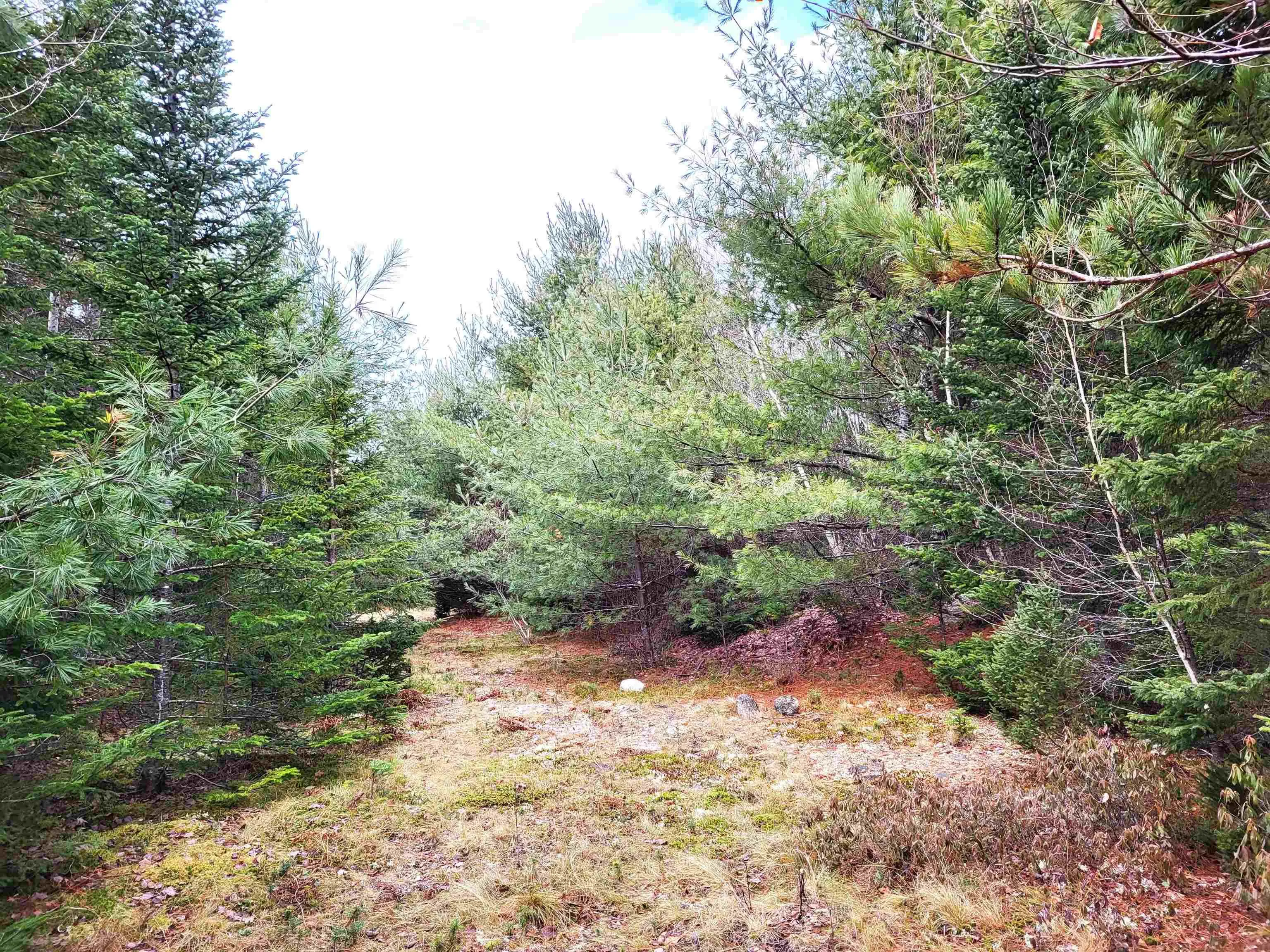 Silver Road, Nineveh Ns B0r 1e0, ,Land,For Sale,Silver,202402328