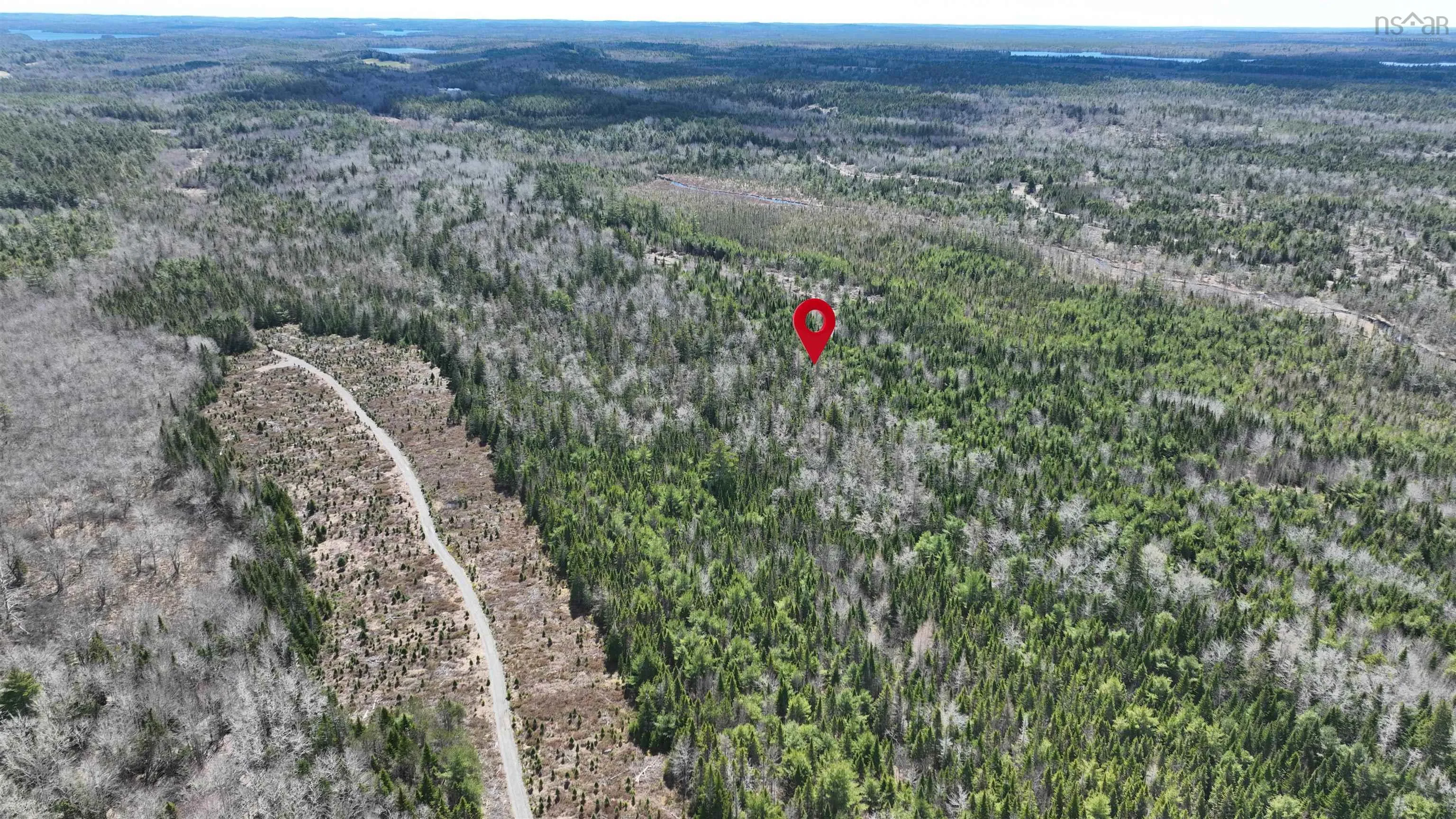 Silver Road, Nineveh Ns B0r 1e0, ,Land,For Sale,Silver,202402328