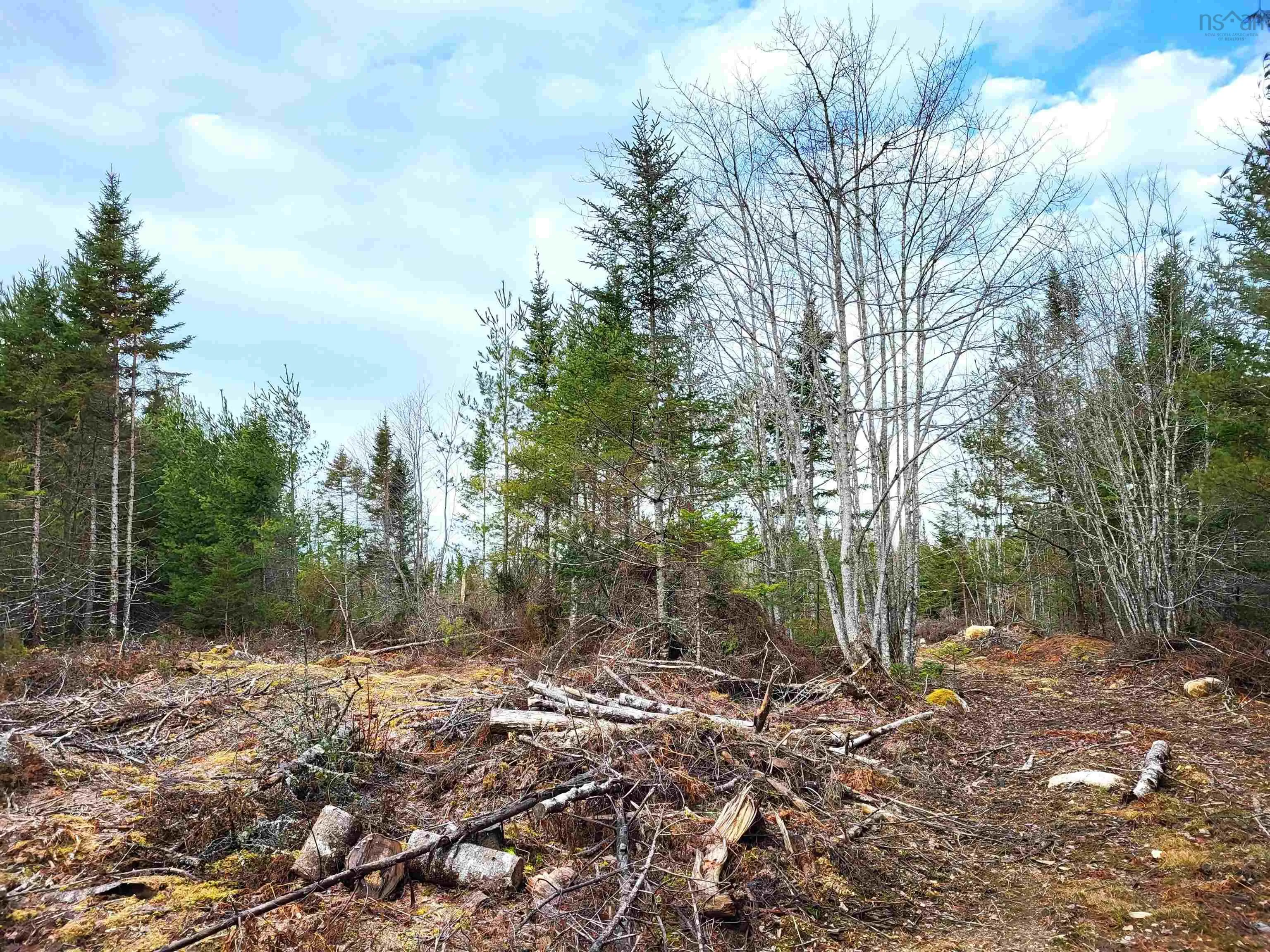 Silver Road, Nineveh Ns B0r 1e0, ,Land,For Sale,Silver,202402328