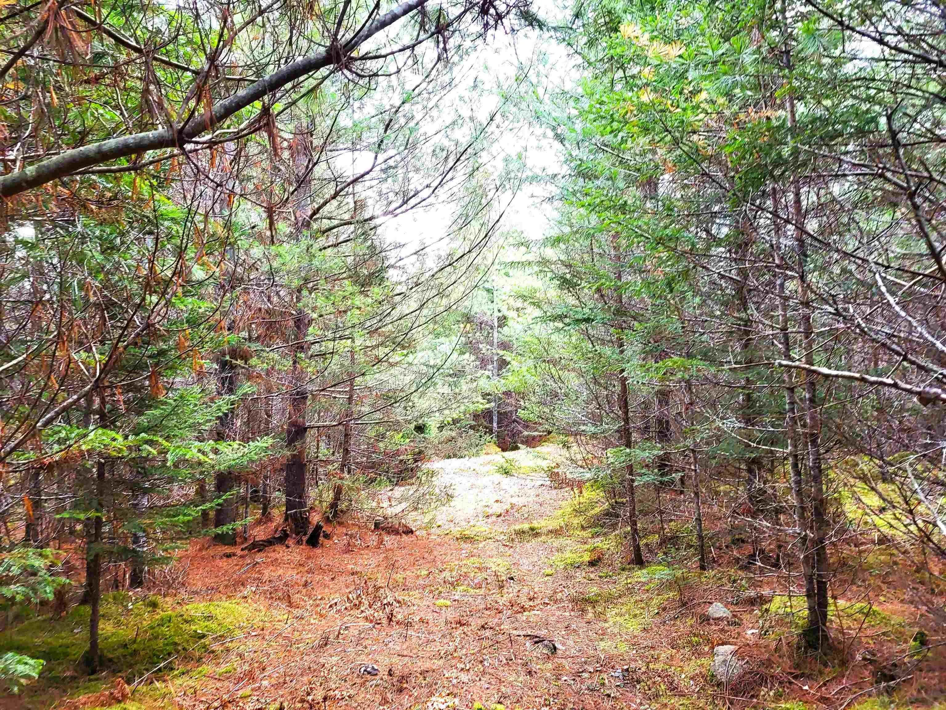 Silver Road, Nineveh Ns B0r 1e0, ,Land,For Sale,Silver,202402328