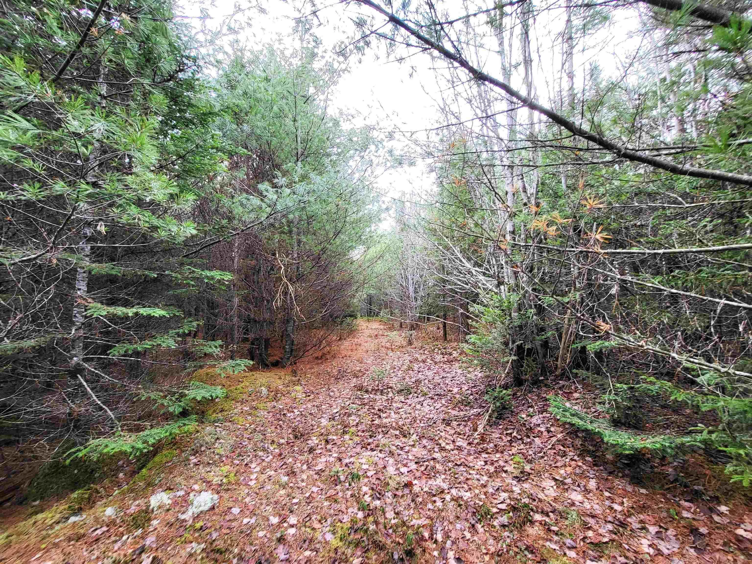 Silver Road, Nineveh Ns B0r 1e0, ,Land,For Sale,Silver,202402328