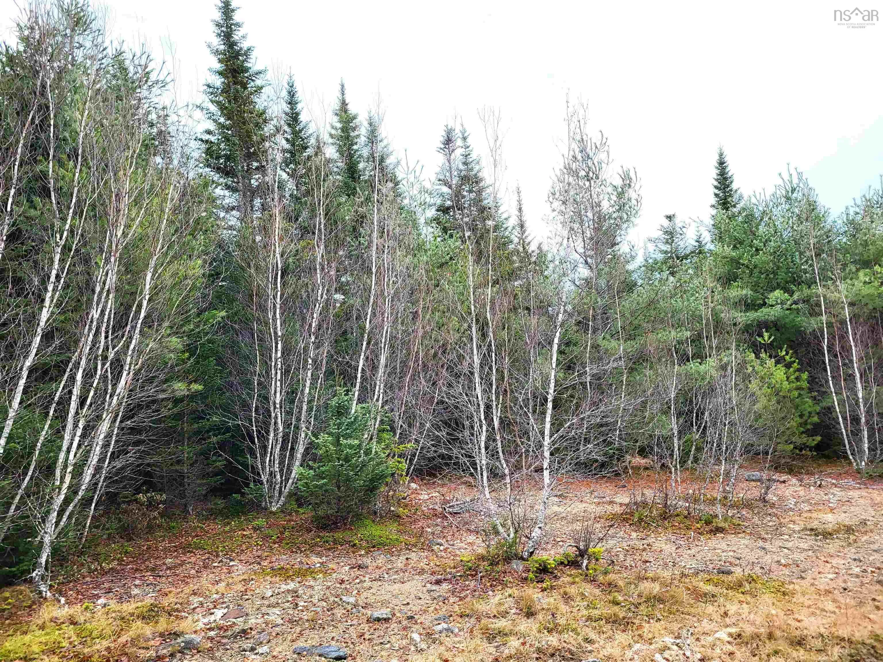Silver Road, Nineveh Ns B0r 1e0, ,Land,For Sale,Silver,202402328