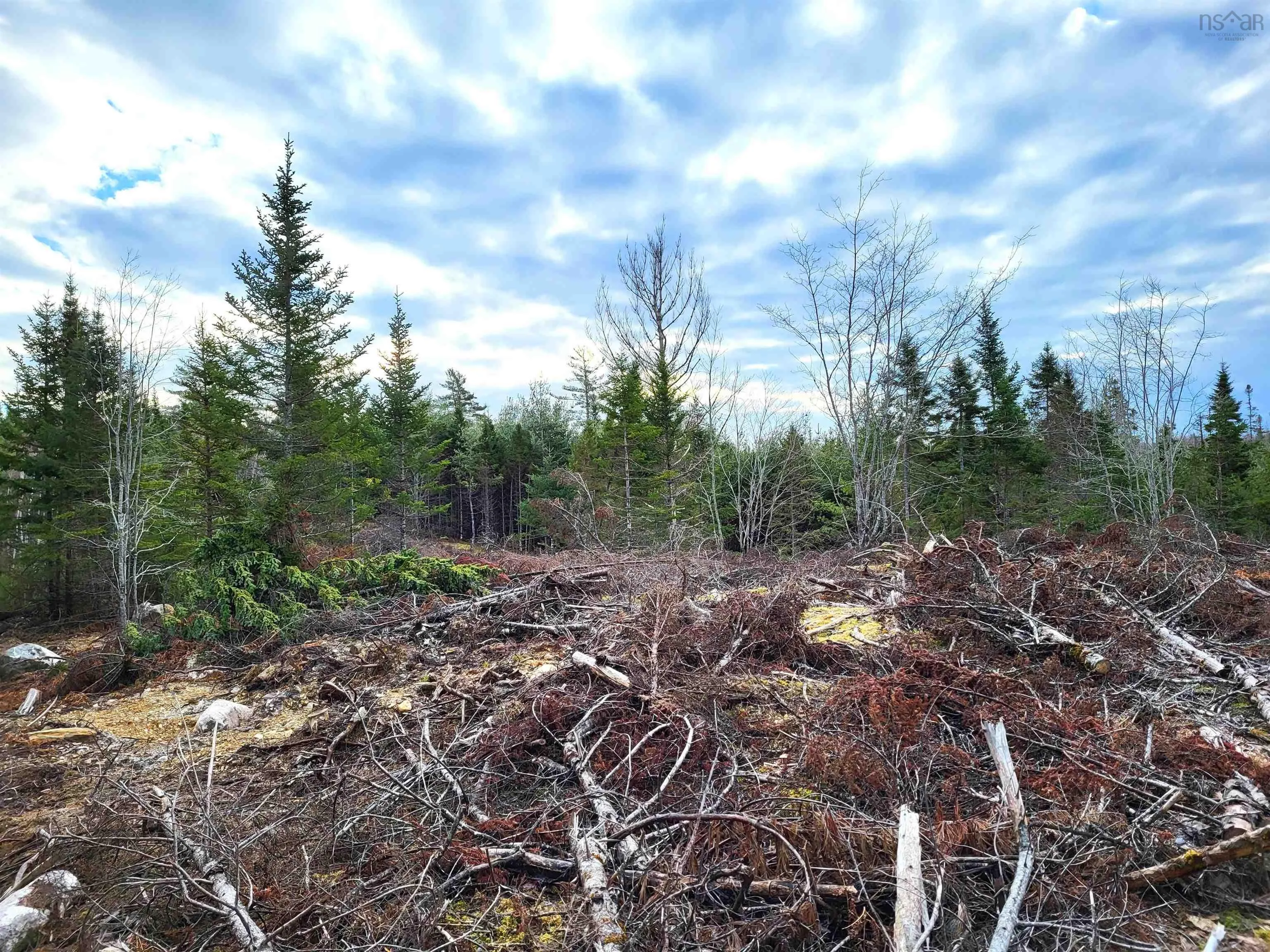 Silver Road, Nineveh Ns B0r 1e0, ,Land,For Sale,Silver,202402328