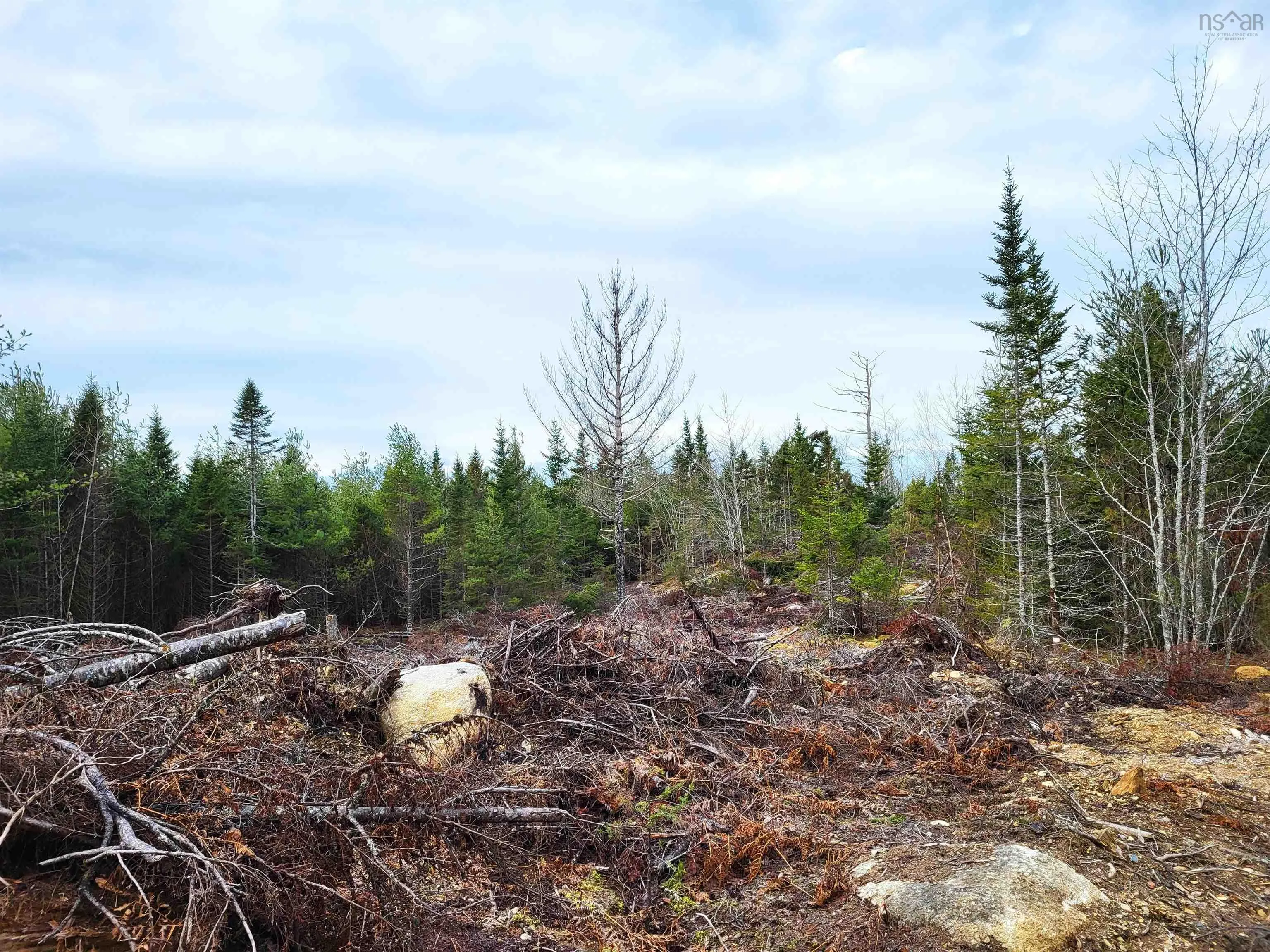 Silver Road, Nineveh Ns B0r 1e0, ,Land,For Sale,Silver,202402328