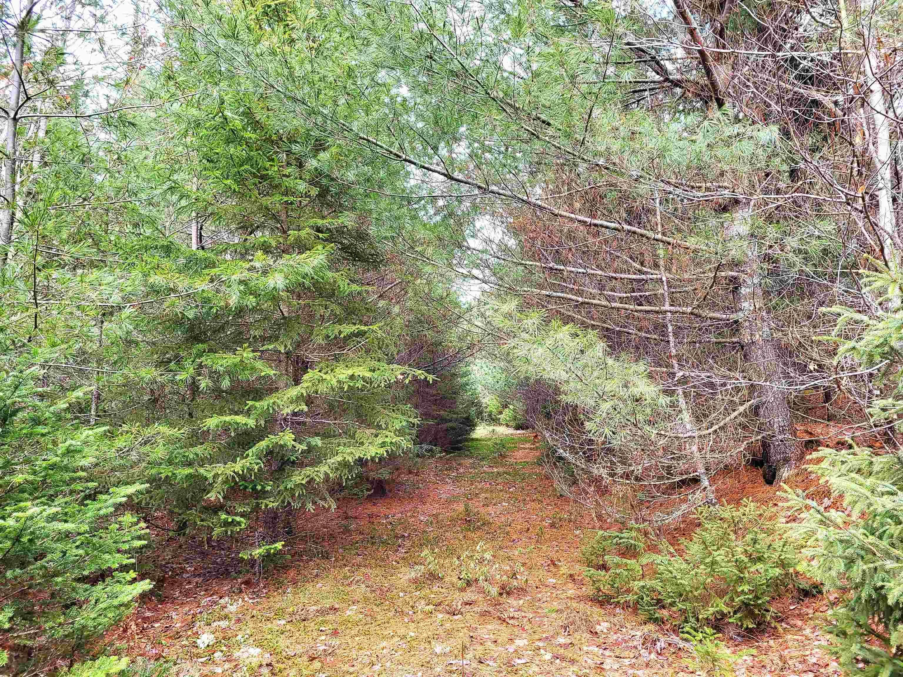 Silver Road, Nineveh Ns B0r 1e0, ,Land,For Sale,Silver,202402328