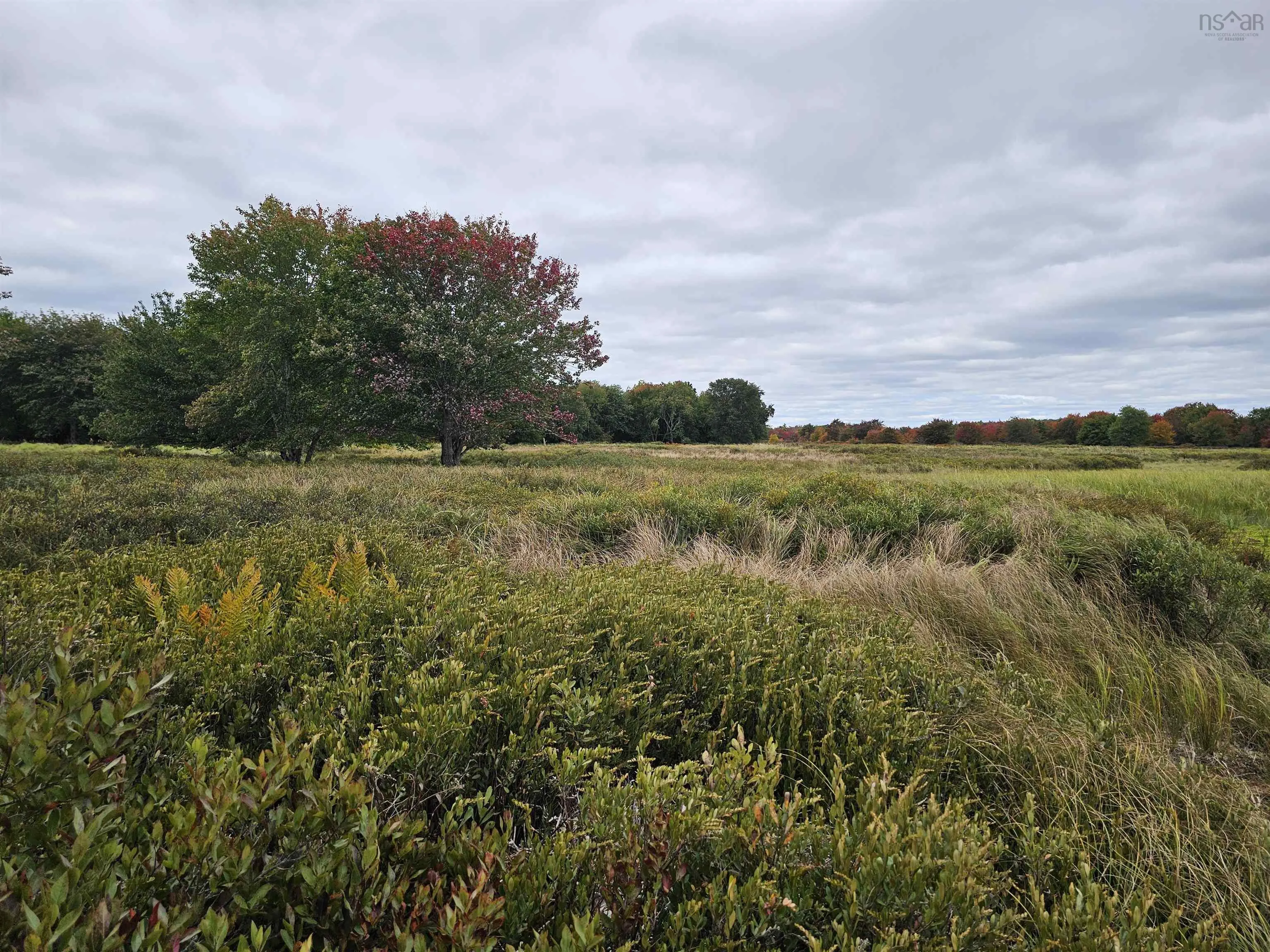 Lot Six Marsh Islands, Upper Ohio Ns B0t 1w0, ,Land,For Sale,Six Marsh Islands,202425366