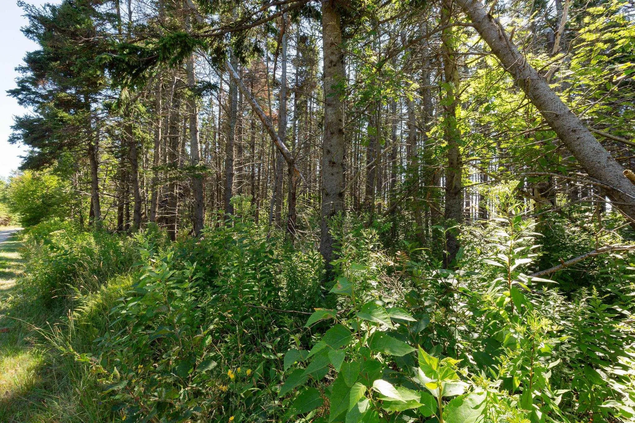 2 Ballfield Road, Port Hood, NS B0E 2W0, ,Land,For Sale,Ballfield,202521952