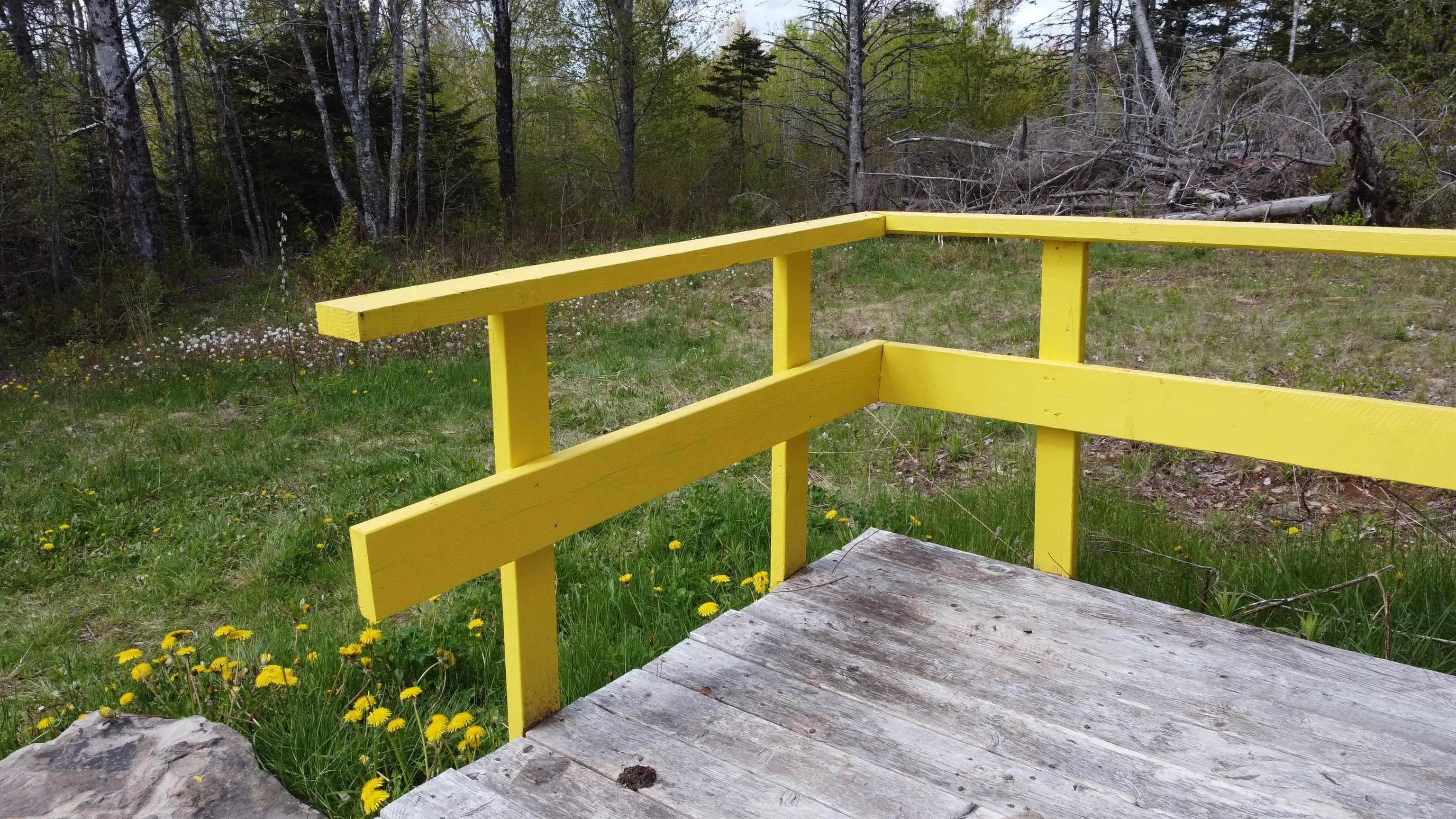 727 Four Mile Brook Road, Four Mile Brook, NS B0K 1H0, 1 Bedroom Bedrooms, ,1 BathroomBathrooms,Residential,For Sale,Four Mile Brook,202511968