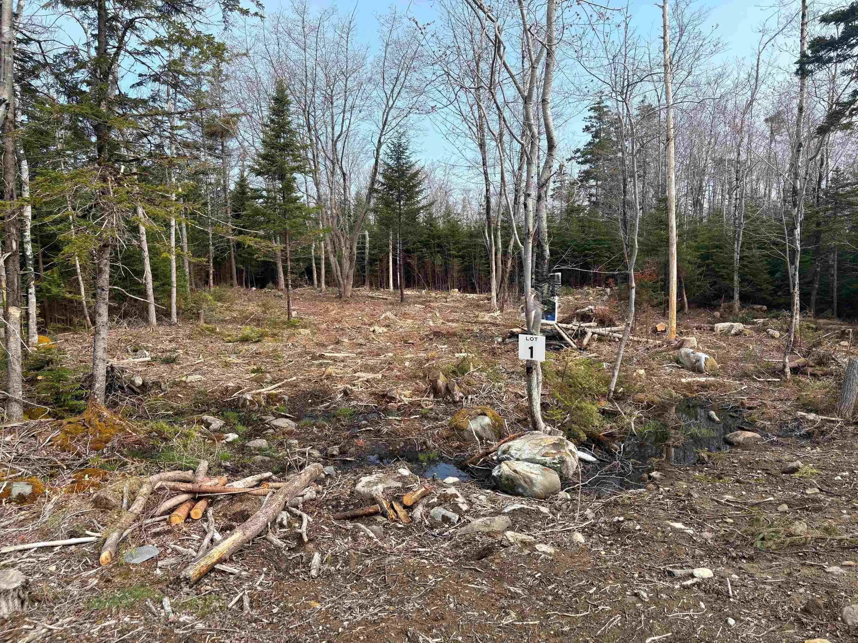Larry Seldon Lane Lot 1, Western Head, NS B0T 1K0, ,Land,For Sale,Larry Seldon,202427654