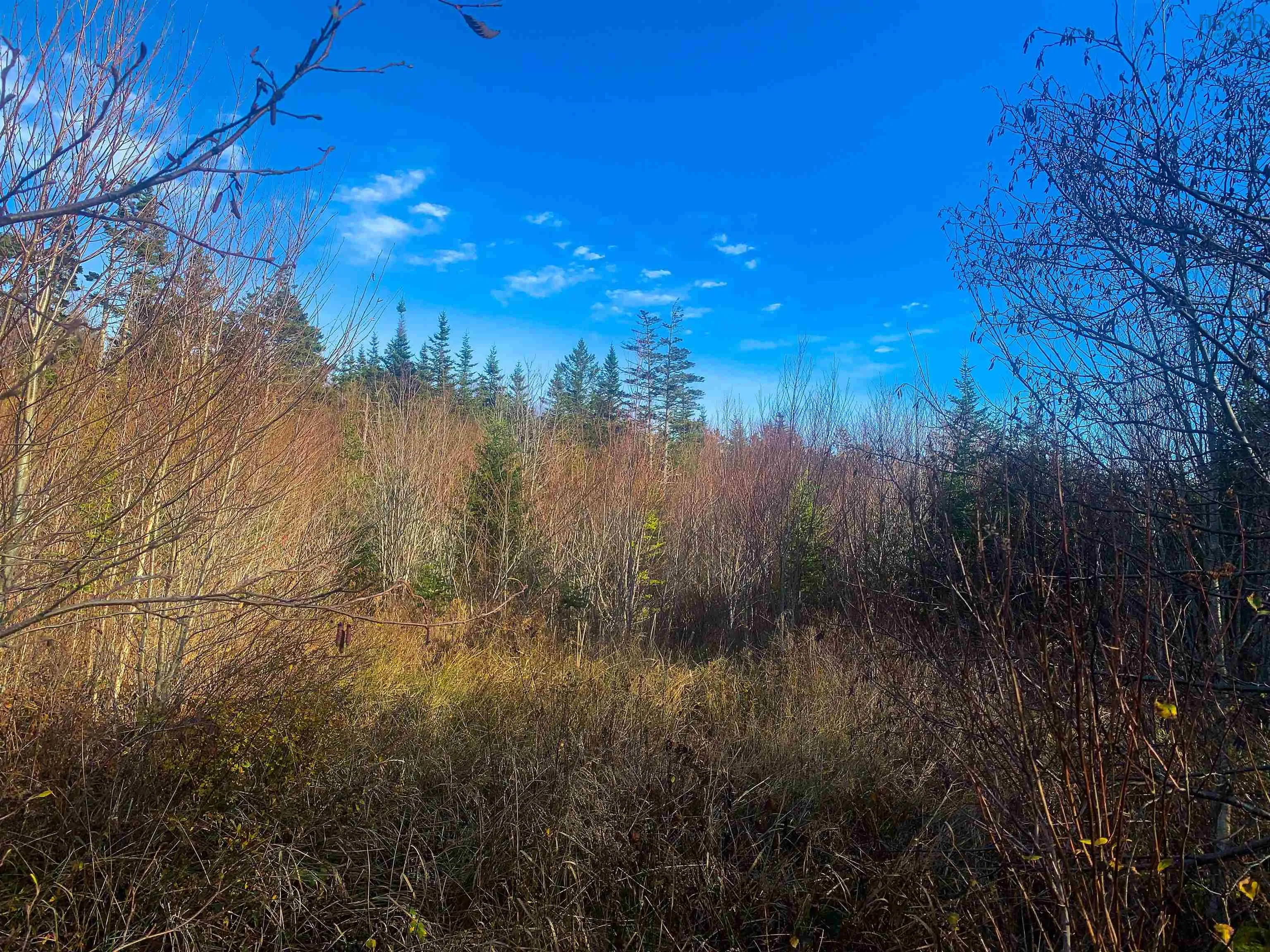 C. Boudreau Road, Mavillette Ns B0w 2h0, ,Land,For Sale,C. Boudreau,202421271