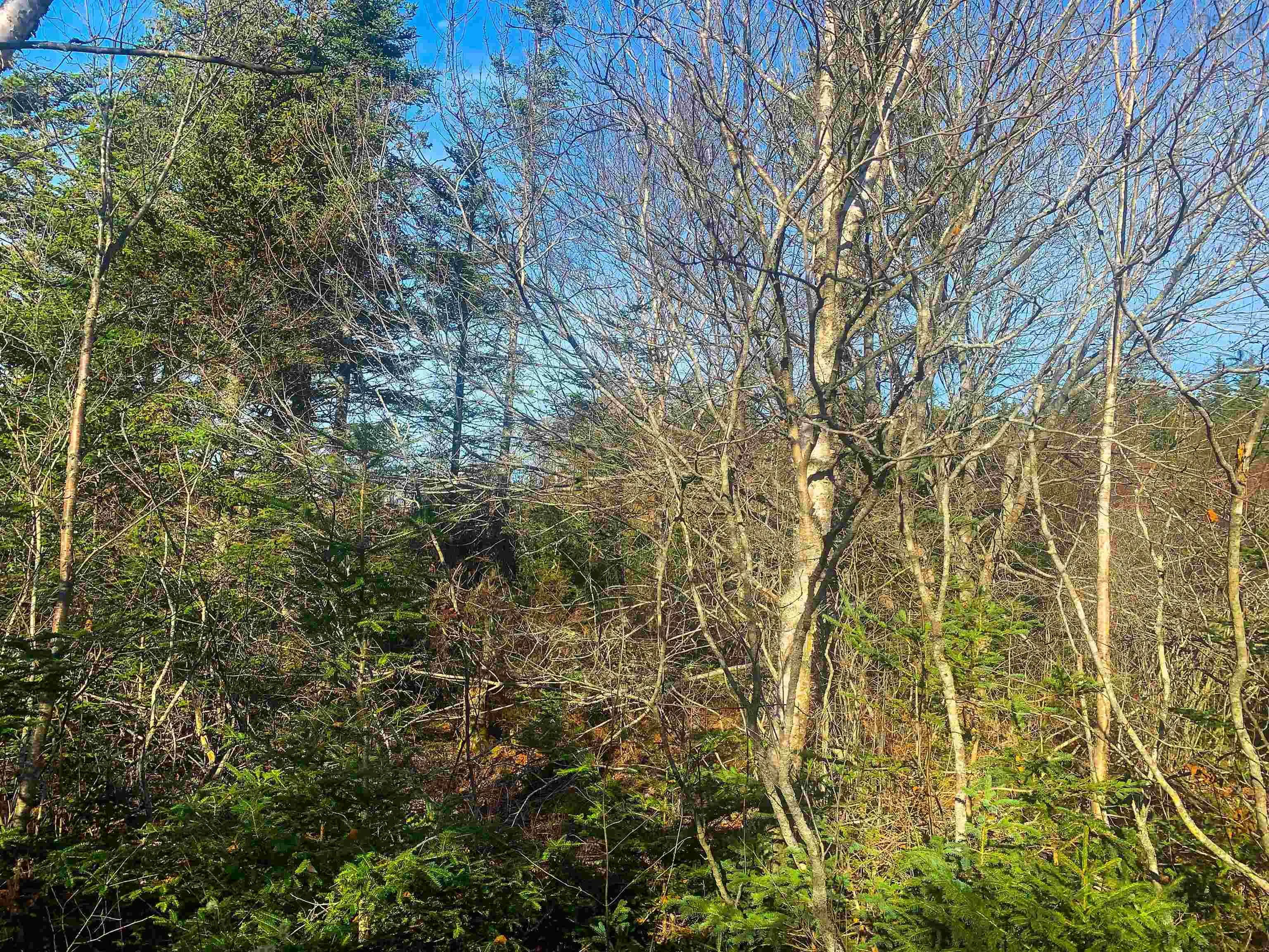 C. Boudreau Road, Mavillette Ns B0w 2h0, ,Land,For Sale,C. Boudreau,202421271