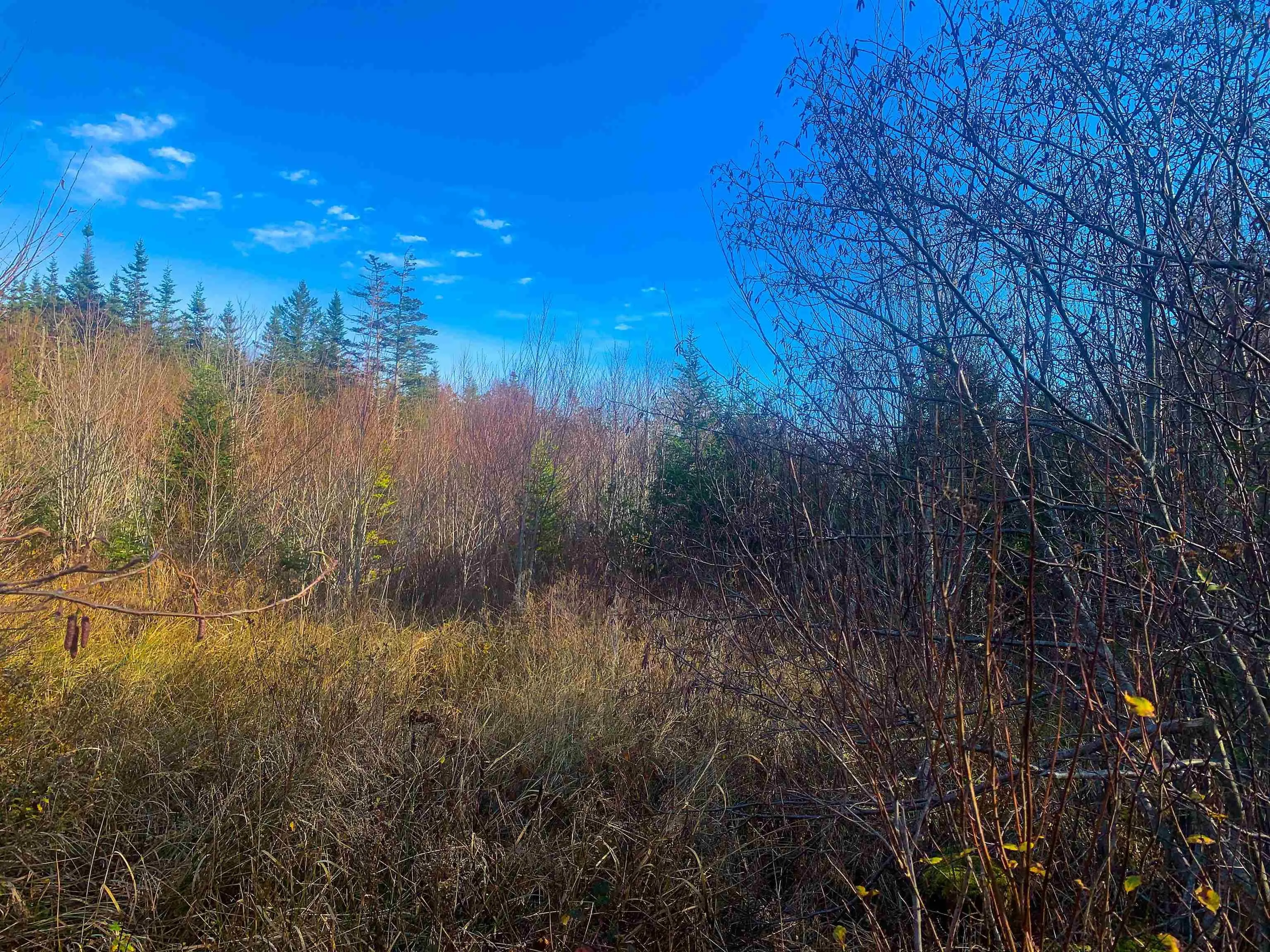 C. Boudreau Road, Mavillette Ns B0w 2h0, ,Land,For Sale,C. Boudreau,202421271