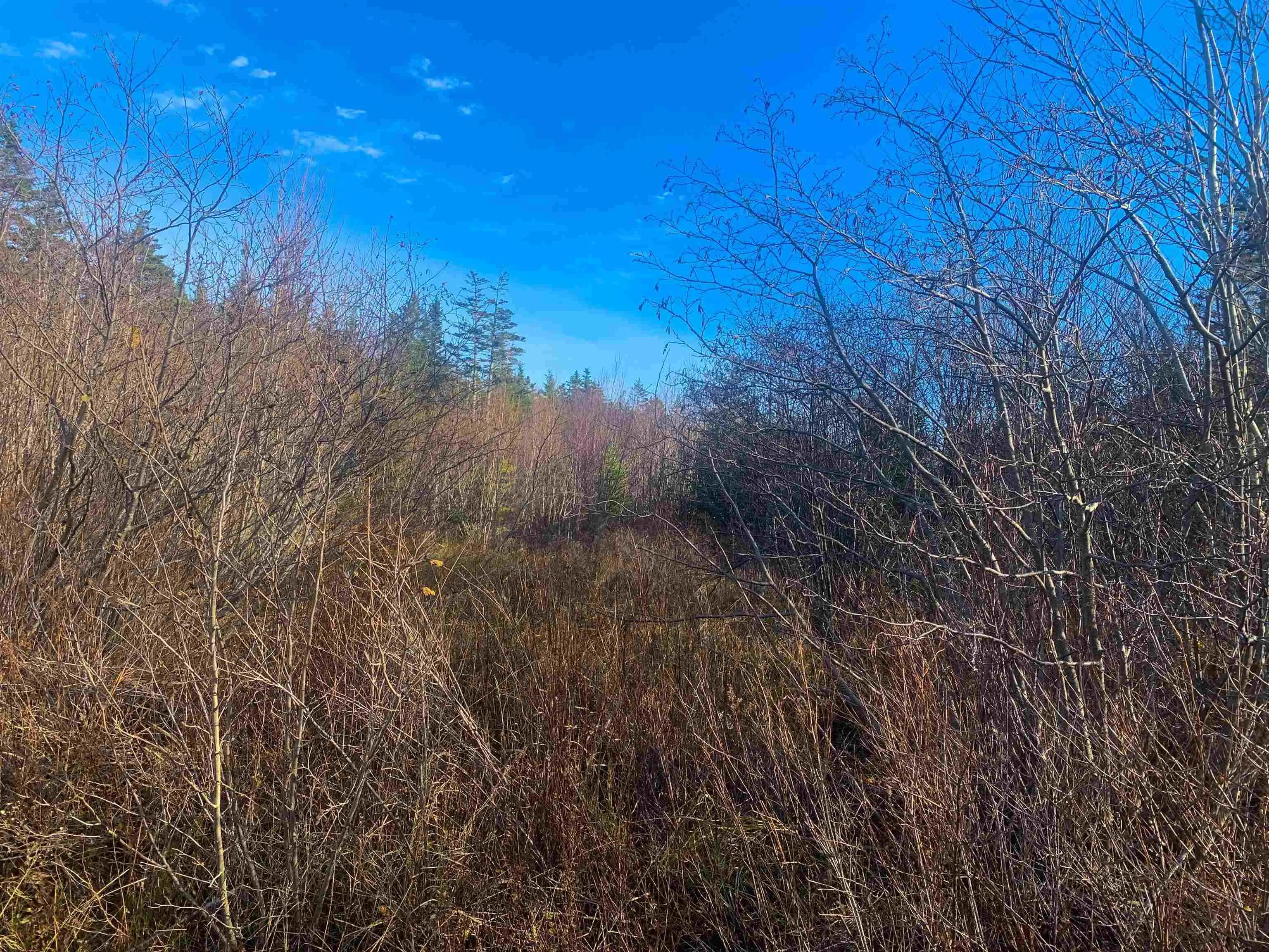 C. Boudreau Road, Mavillette Ns B0w 2h0, ,Land,For Sale,C. Boudreau,202421271