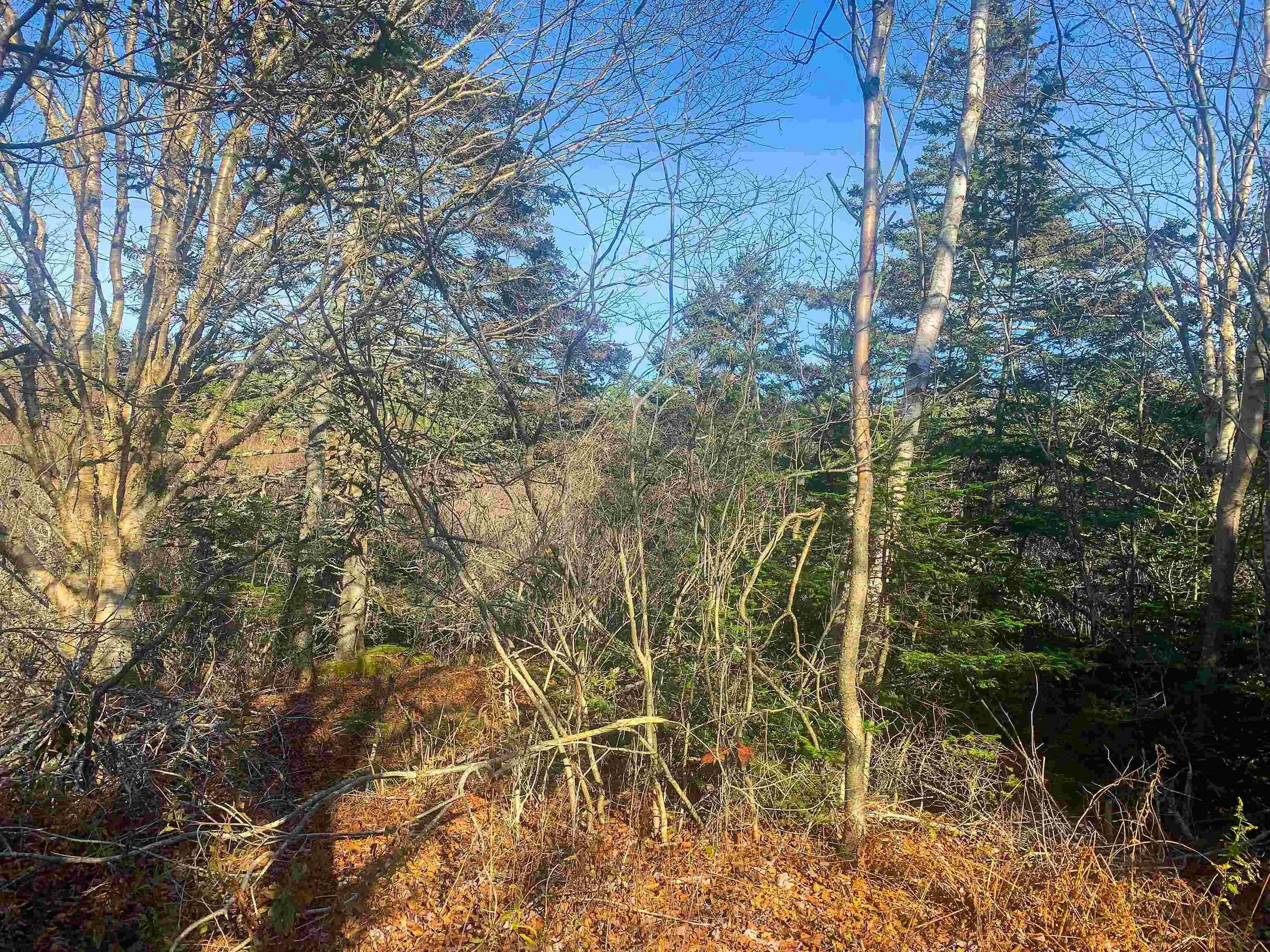 C. Boudreau Road, Mavillette Ns B0w 2h0, ,Land,For Sale,C. Boudreau,202421271