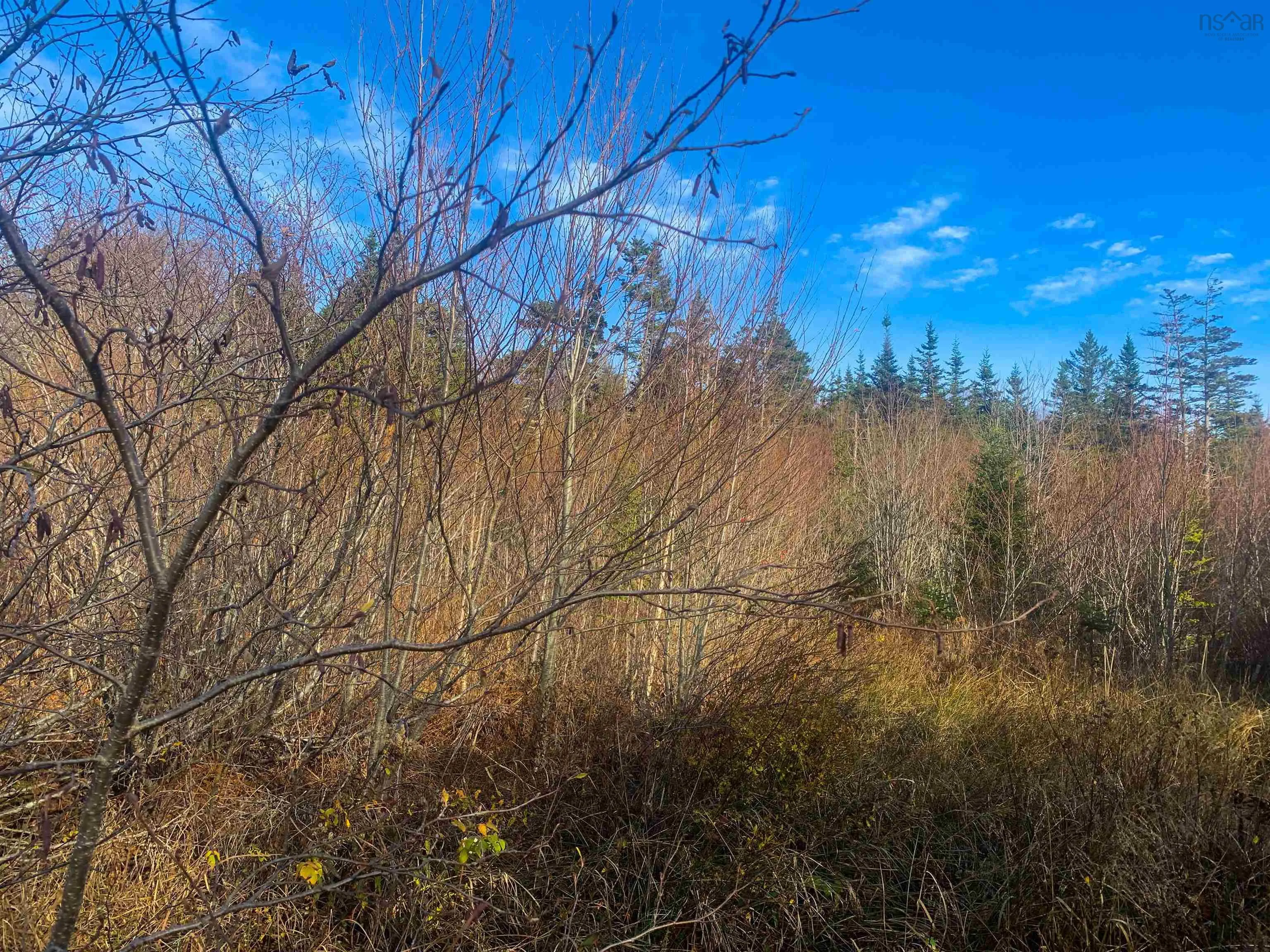C. Boudreau Road, Mavillette Ns B0w 2h0, ,Land,For Sale,C. Boudreau,202421271