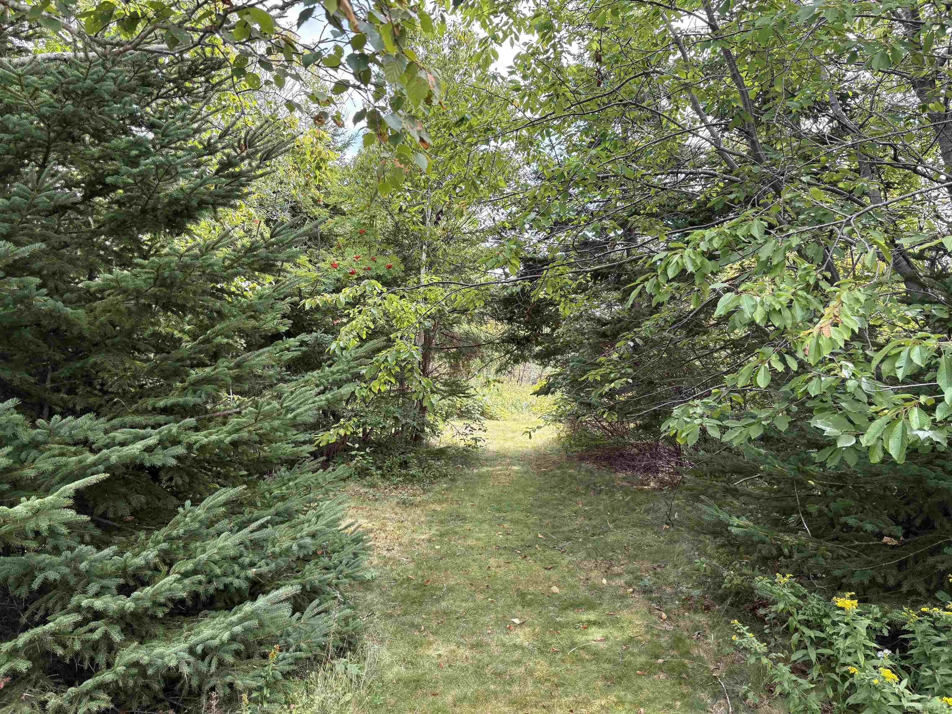 3535 Highway 255, Black Brook, NS B1B 1T7, 3 Bedrooms Bedrooms, ,1 BathroomBathrooms,Residential,For Sale,Highway 255,202523280