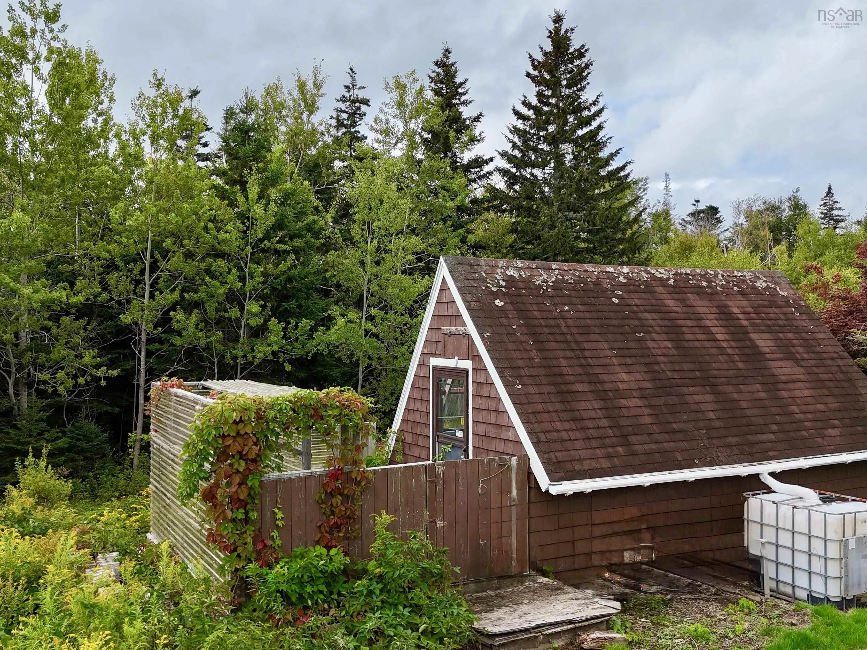 3535 Highway 255, Black Brook, NS B1B 1T7, 3 Bedrooms Bedrooms, ,1 BathroomBathrooms,Residential,For Sale,Highway 255,202523280