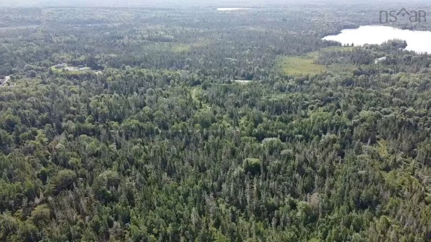 Lots Highway 3, Walls Lake, NS B0T 1V0, ,Land,For Sale,Highway 3,202513225