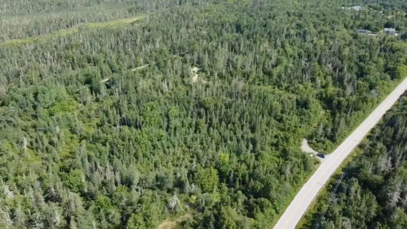 Lots Highway 3, Walls Lake, NS B0T 1V0, ,Land,For Sale,Highway 3,202513225