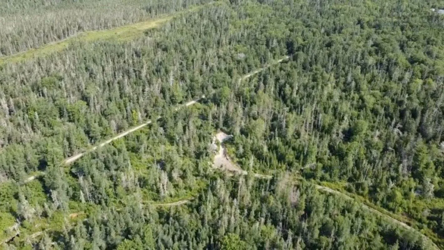 Lots Highway 3, Walls Lake, NS B0T 1V0, ,Land,For Sale,Highway 3,202513225