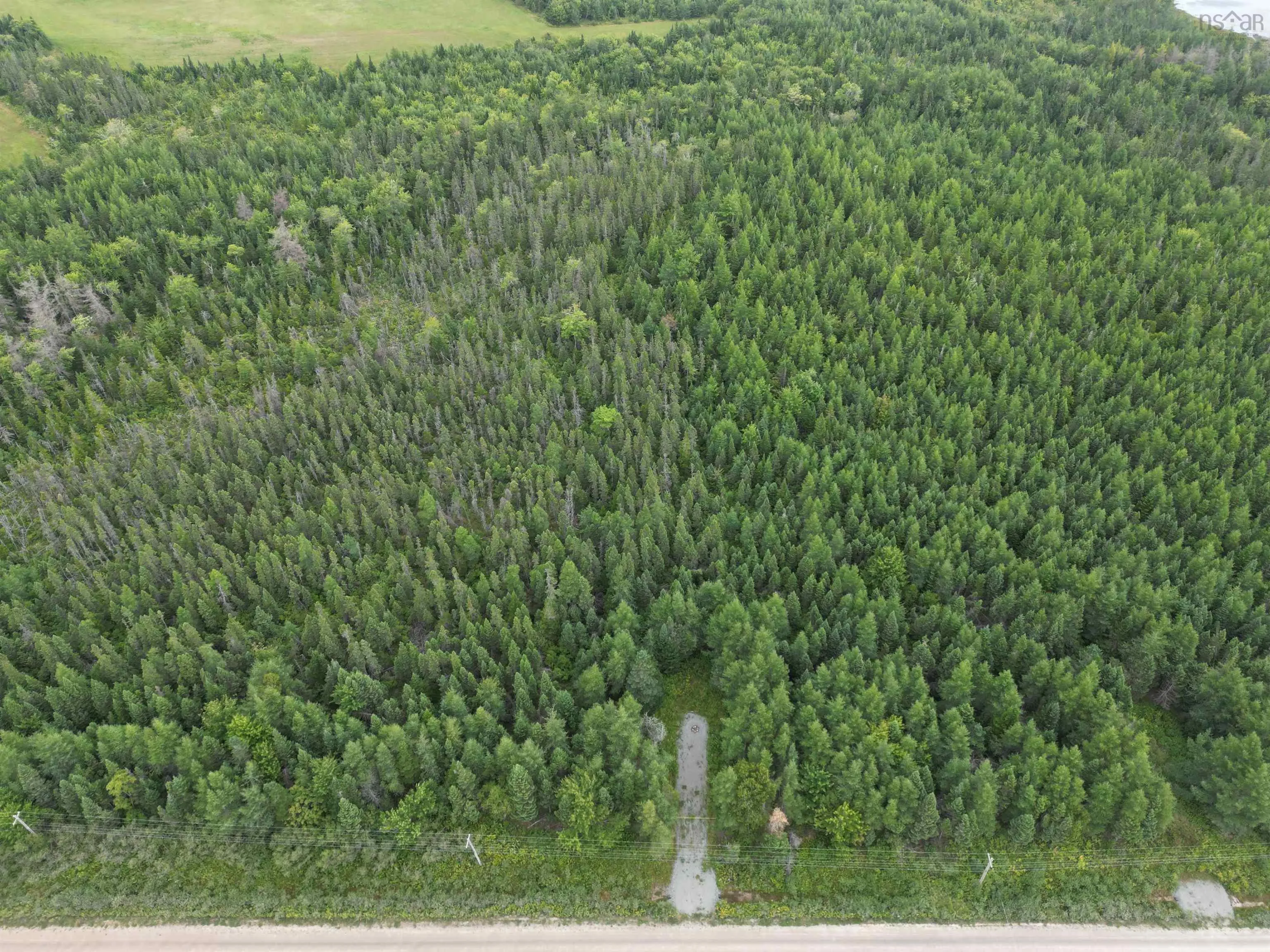 Lot 8 Mountain Road, River Tillard, NS B0E 2X0, ,Land,For Sale,Mountain,202522516
