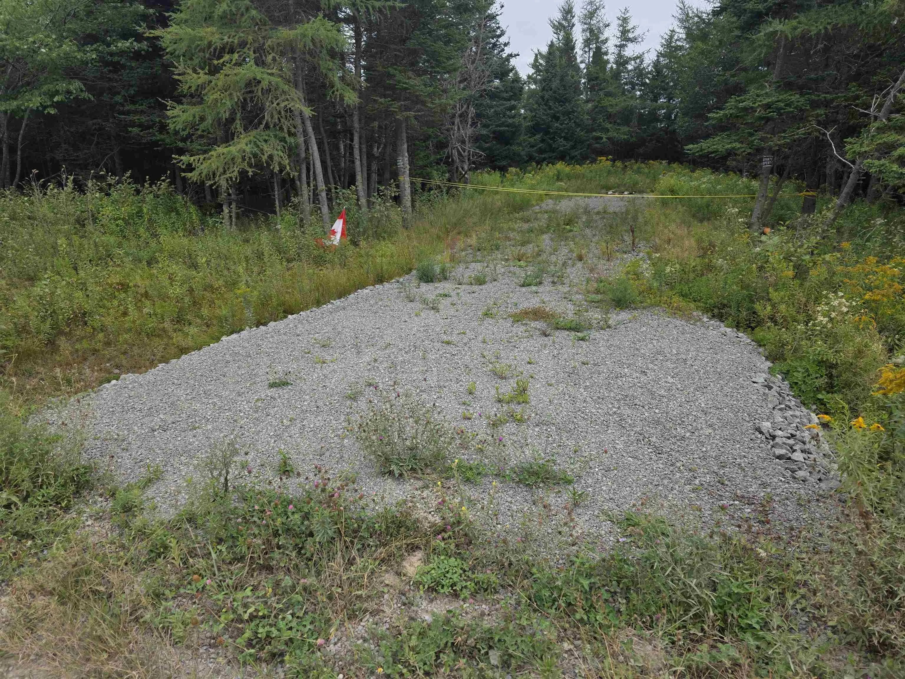Lot 8 Mountain Road, River Tillard, NS B0E 2X0, ,Land,For Sale,Mountain,202522516