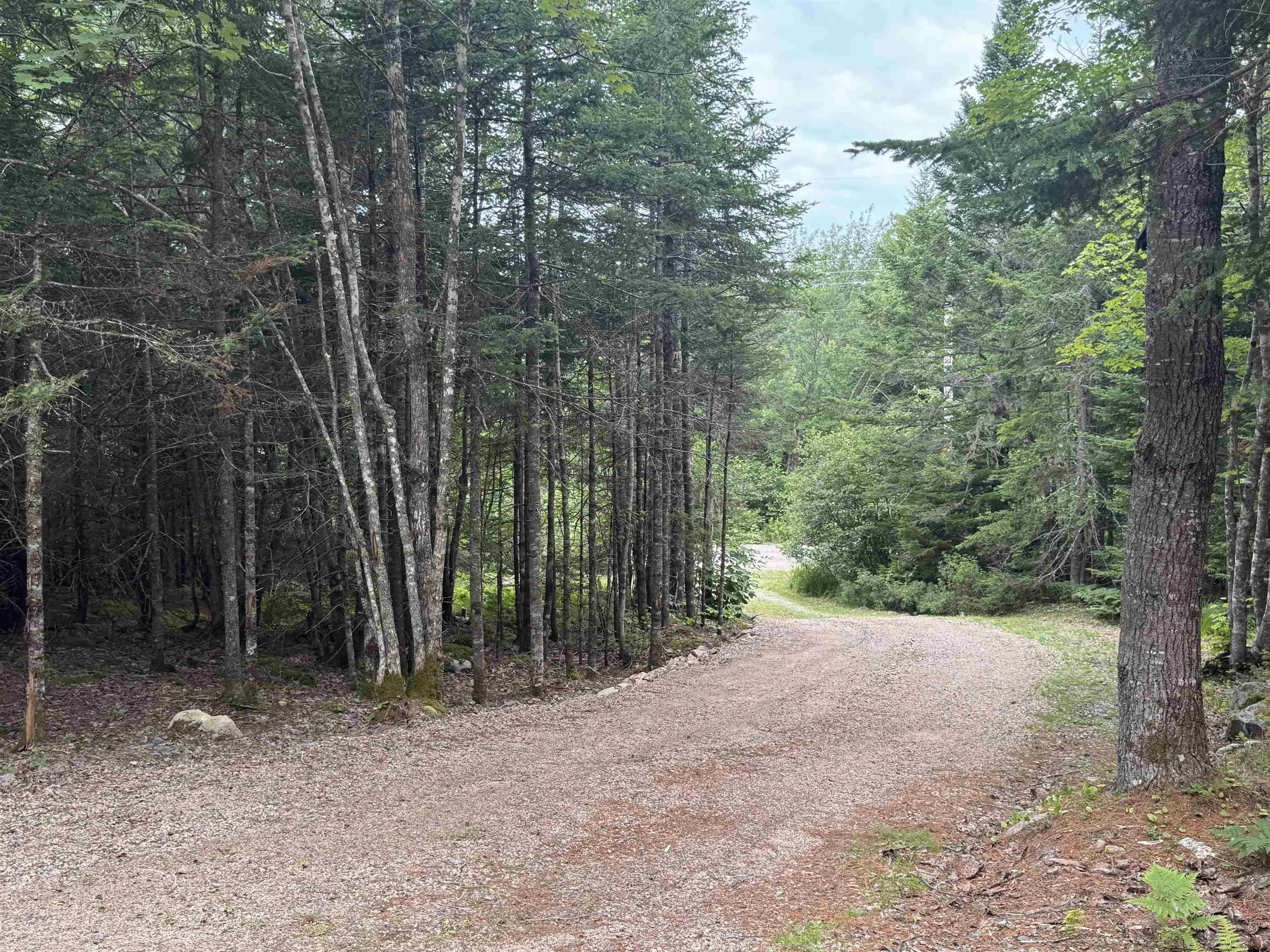 126 Middle Lake South Road, Vaughan, NS B0N 2T0, ,Residential,For Sale,Middle Lake South,202518273