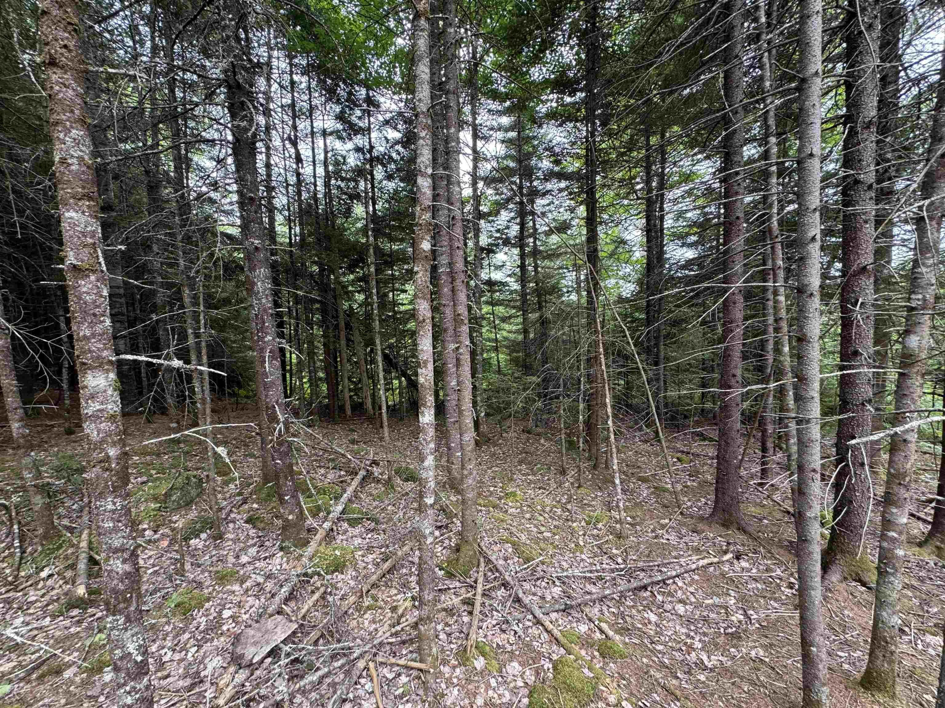 126 Middle Lake South Road, Vaughan, NS B0N 2T0, ,Residential,For Sale,Middle Lake South,202518273